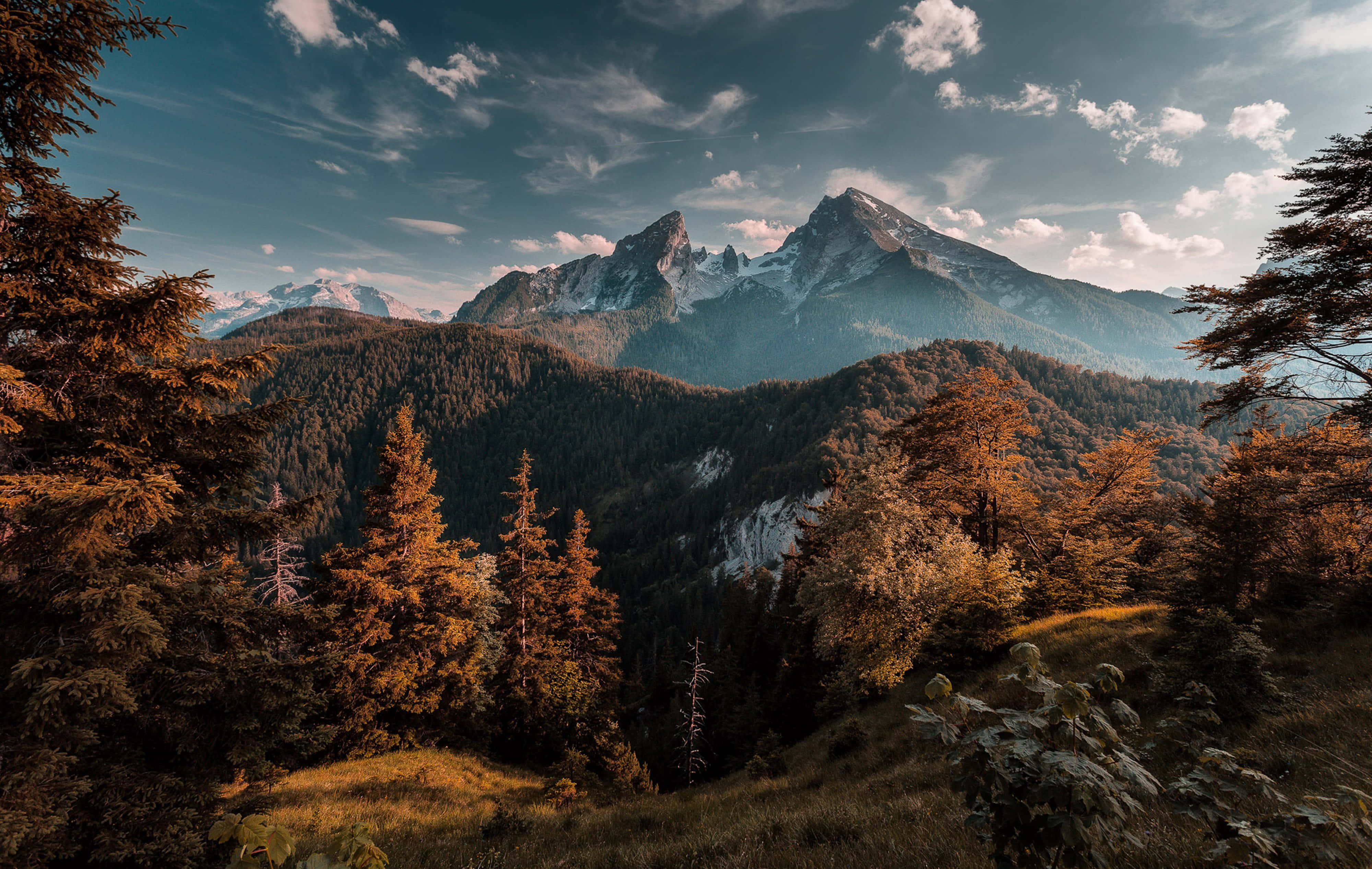 4K Mountain, autumn forest, snow-capped mountain range, 4K Desktop Wallpaper