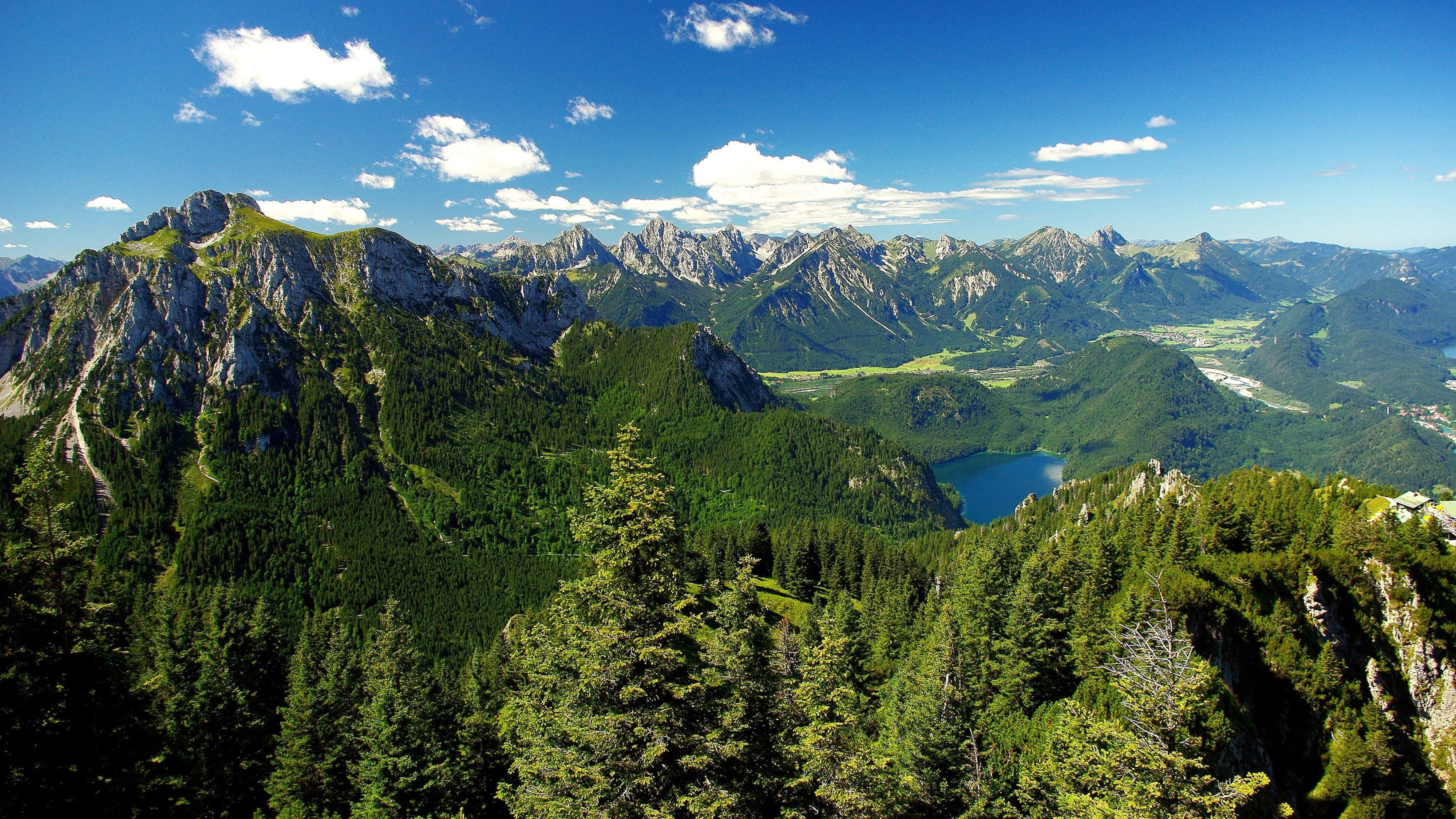 4K mountain, alpine mountains, dense green forests, 4K Desktop Wallpaper