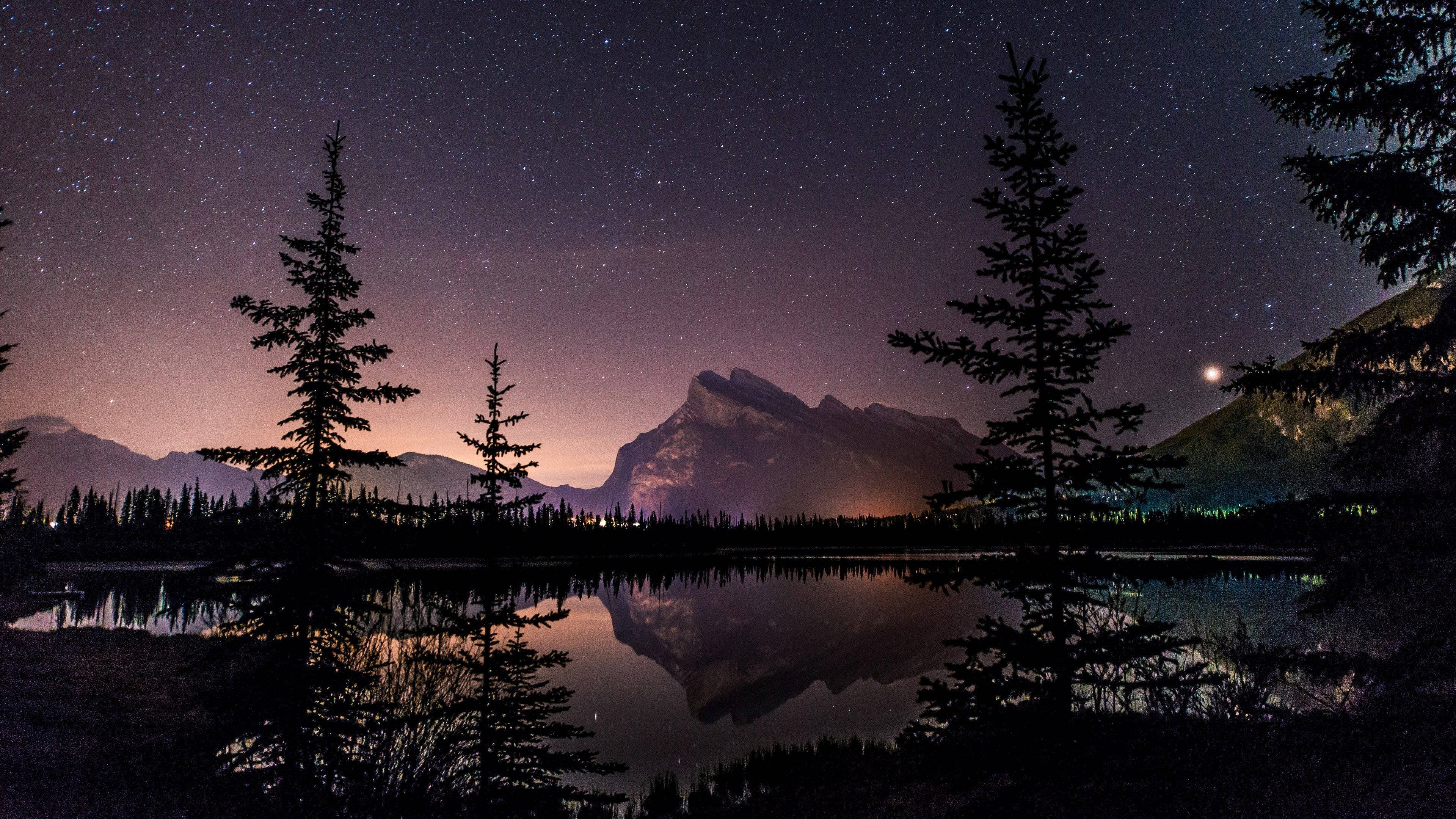 starry night sky, calm lake, silhouetted pine trees, 4K Desktop Wallpaper