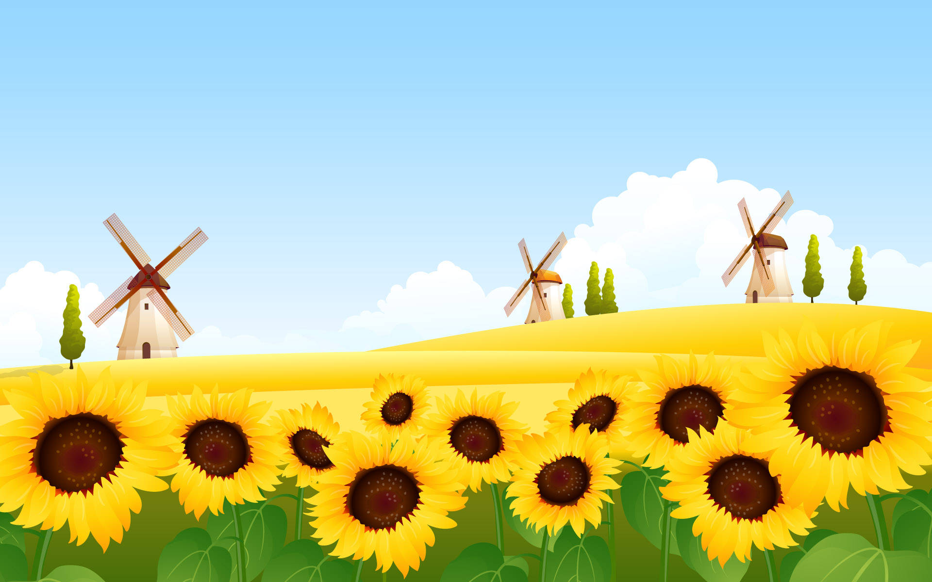 4K Nature, sunflowers, golden field, Full HD Desktop Wallpaper