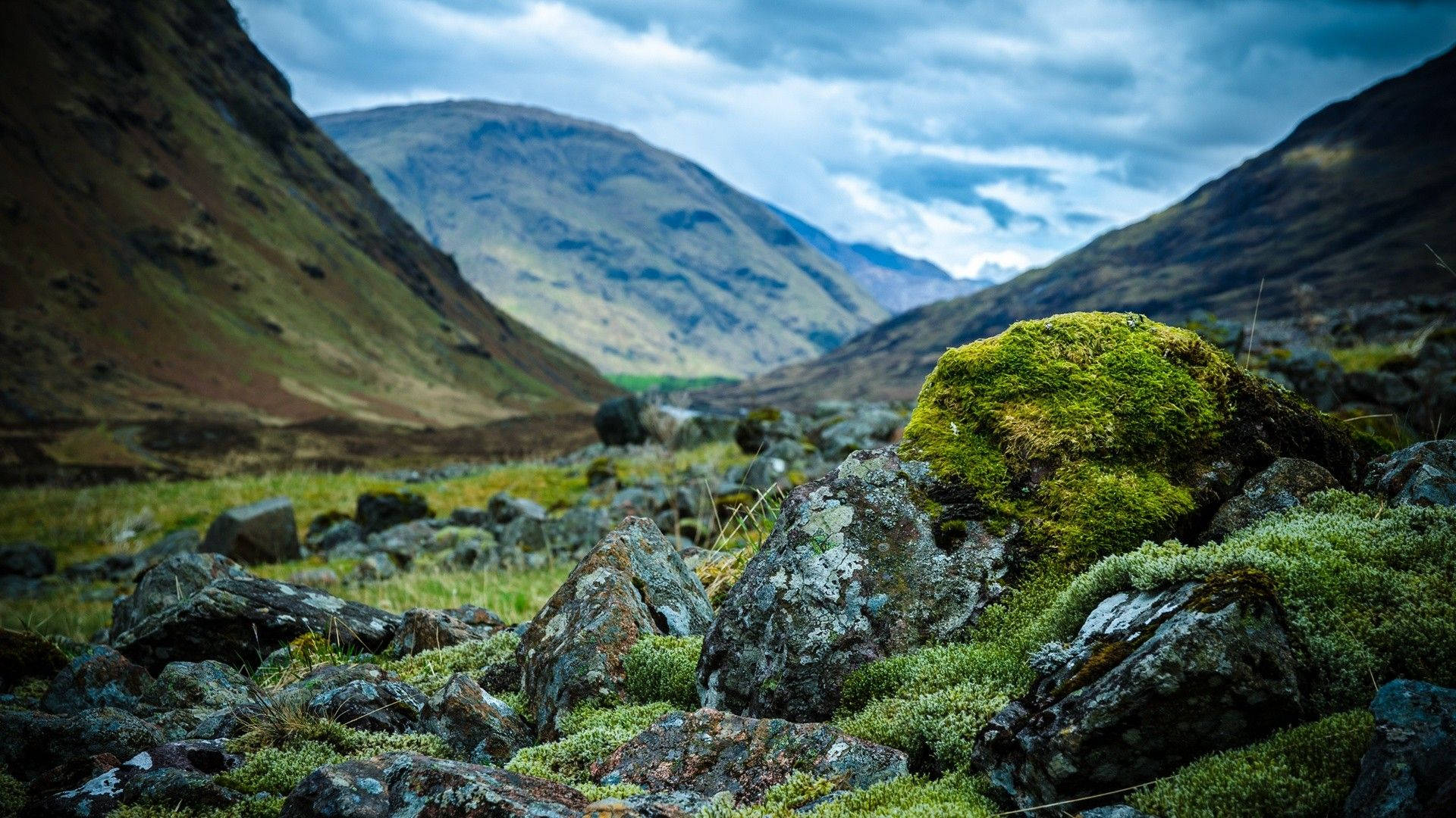4K Nature, misty mountain valley, mossy rocks, Full HD Desktop Wallpaper