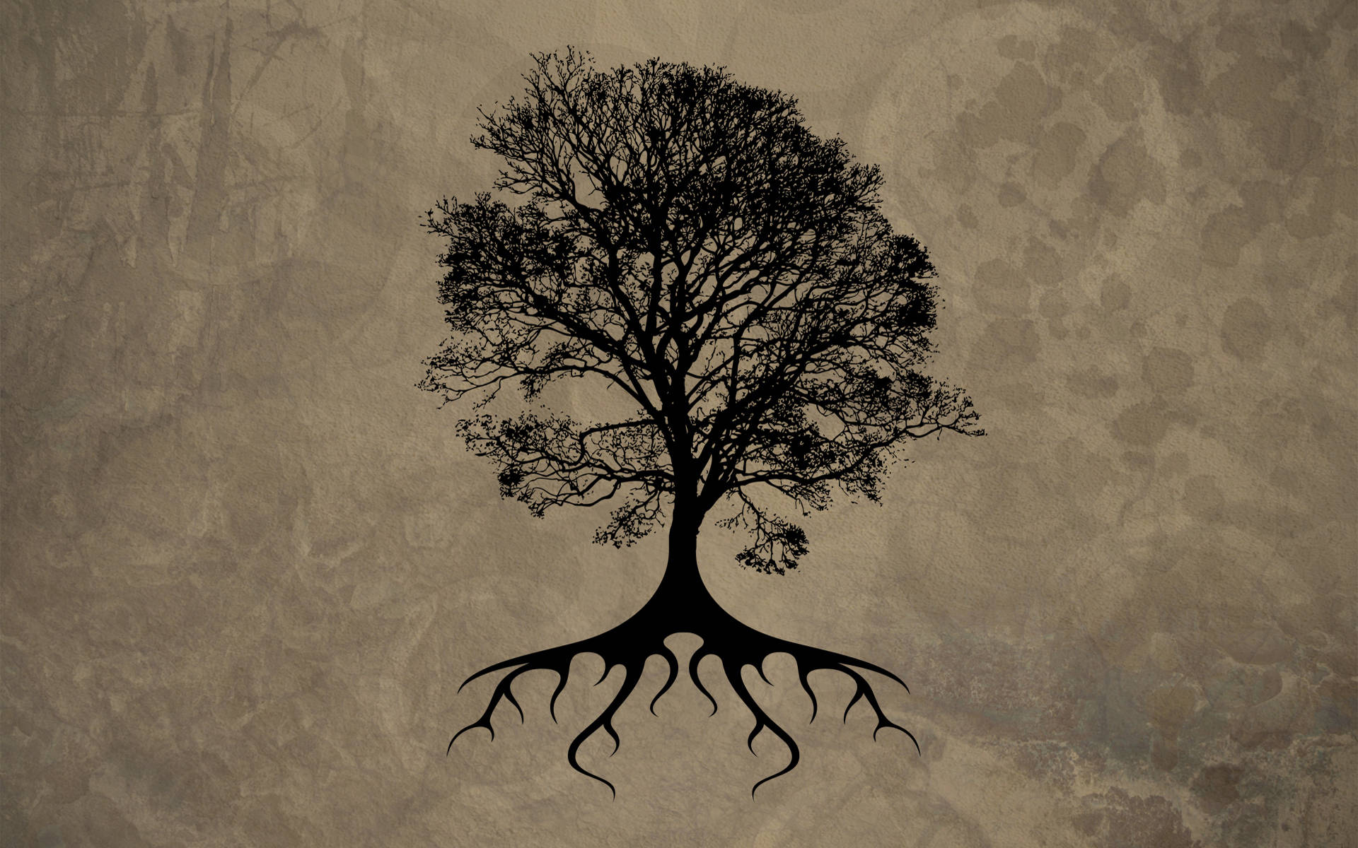 4K Nature, tree, black silhouette, Full HD Desktop Wallpaper