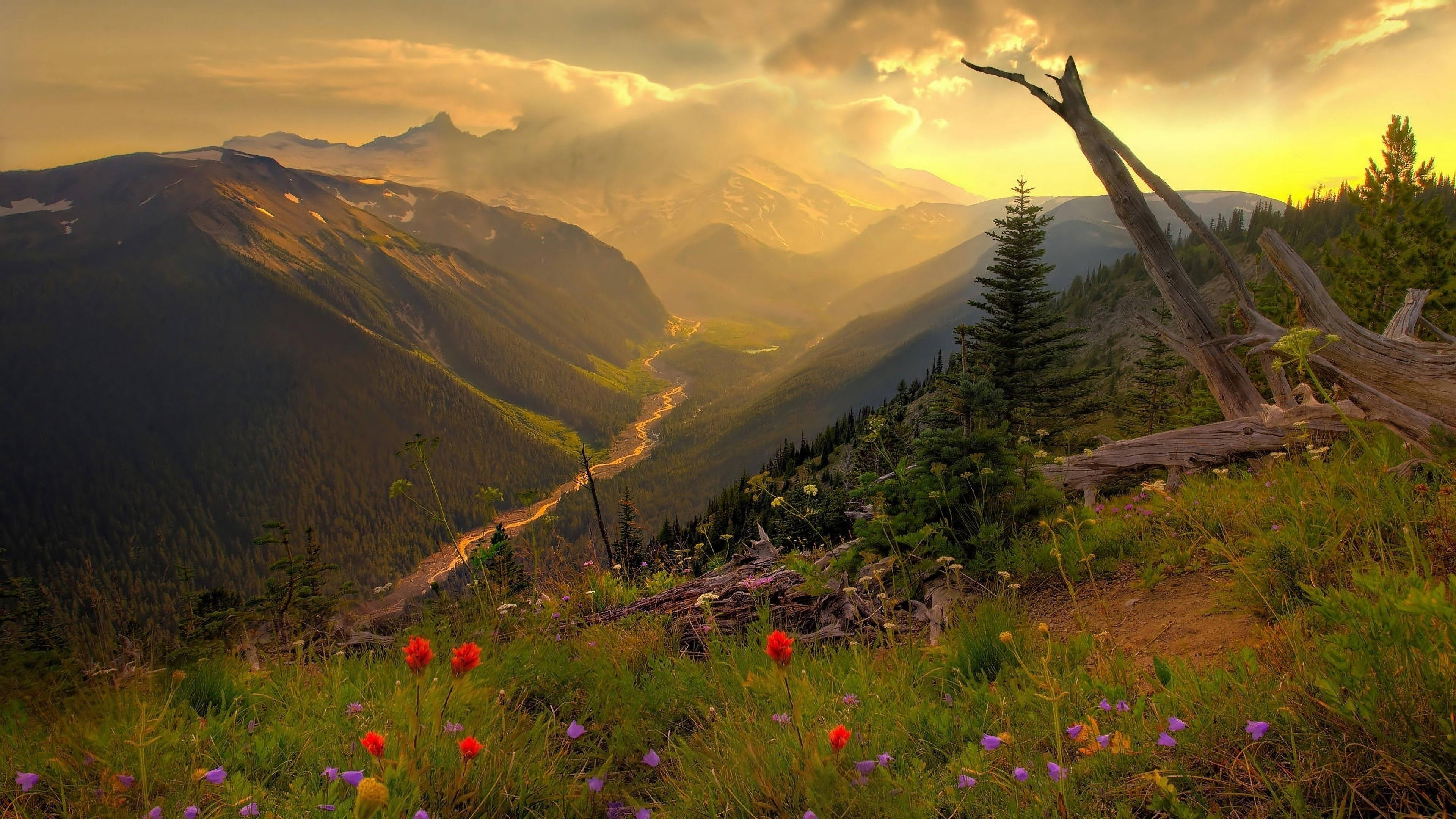 Golden sunset, mountain valley, winding river, 4K Desktop Wallpaper