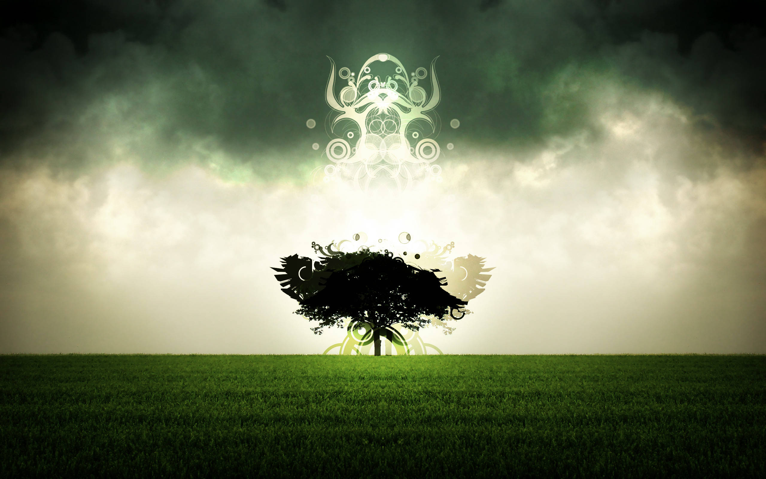 4K Nature Aura, lone tree silhouette, grassy field, 2K Desktop Wallpaper