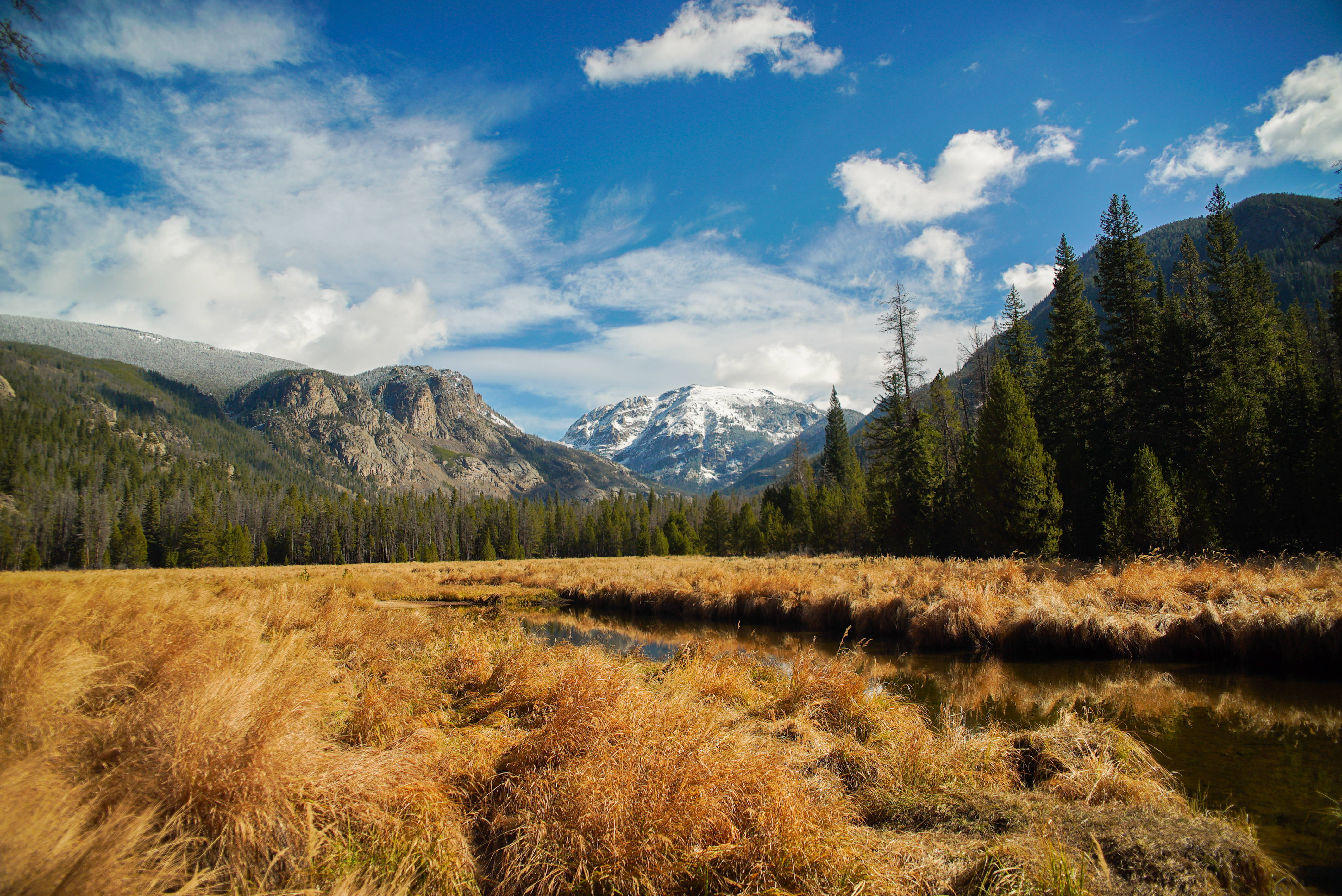 4K Nature, wheat field, golden grassy meadow, 4K Desktop Wallpaper
