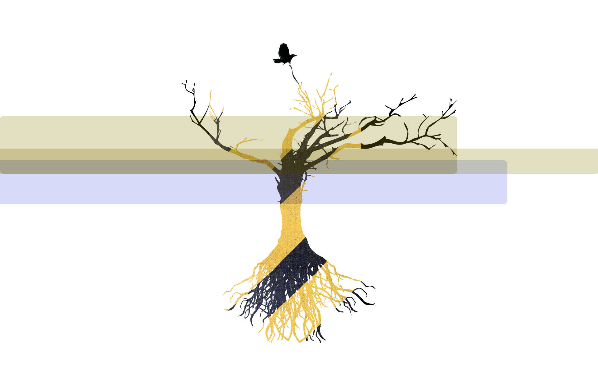 4K Nature, black branches, golden roots, Full HD Desktop Wallpaper