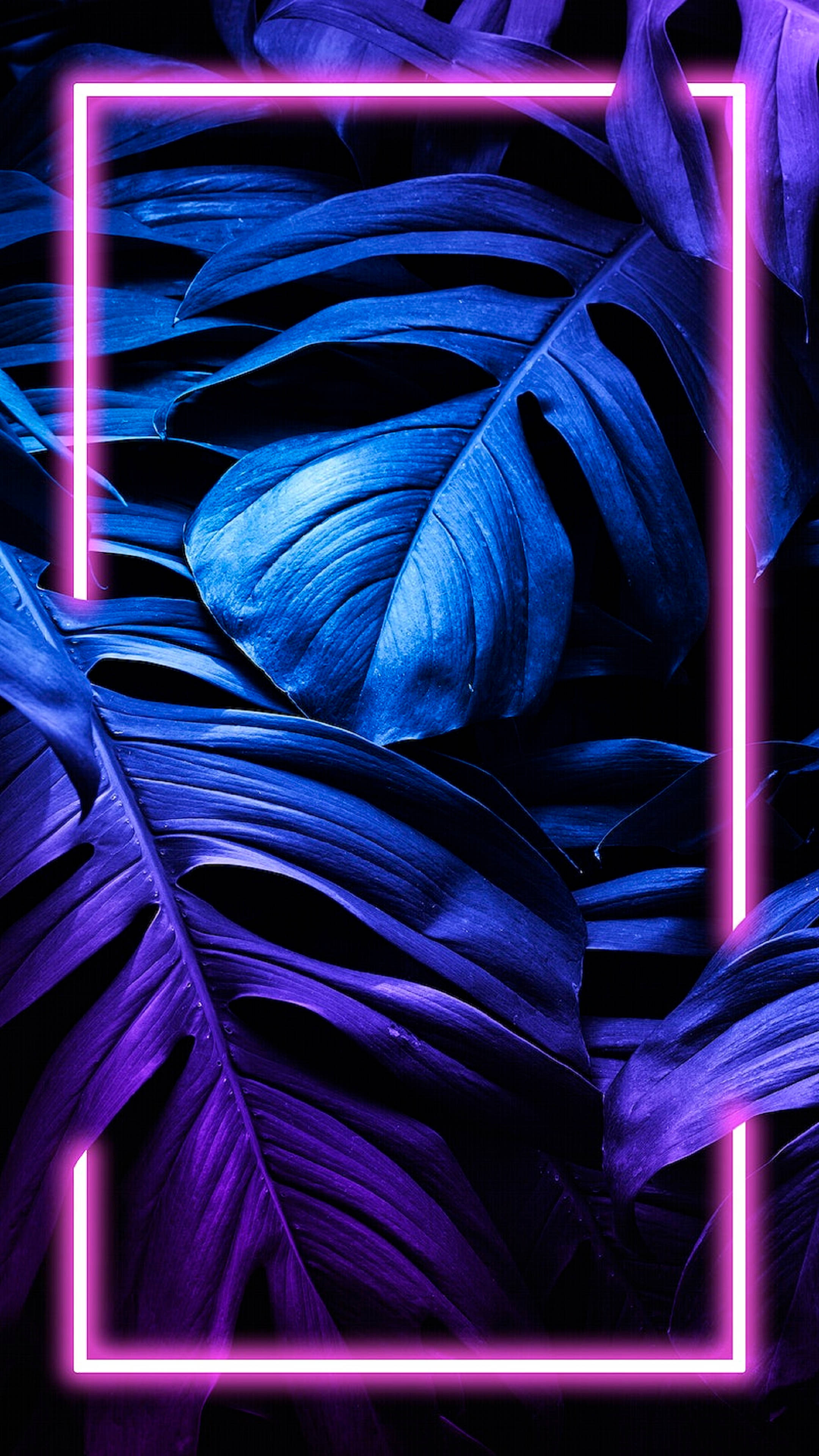 Monstera Leaf, neon pink, deep blue, 4K Phone Wallpaper