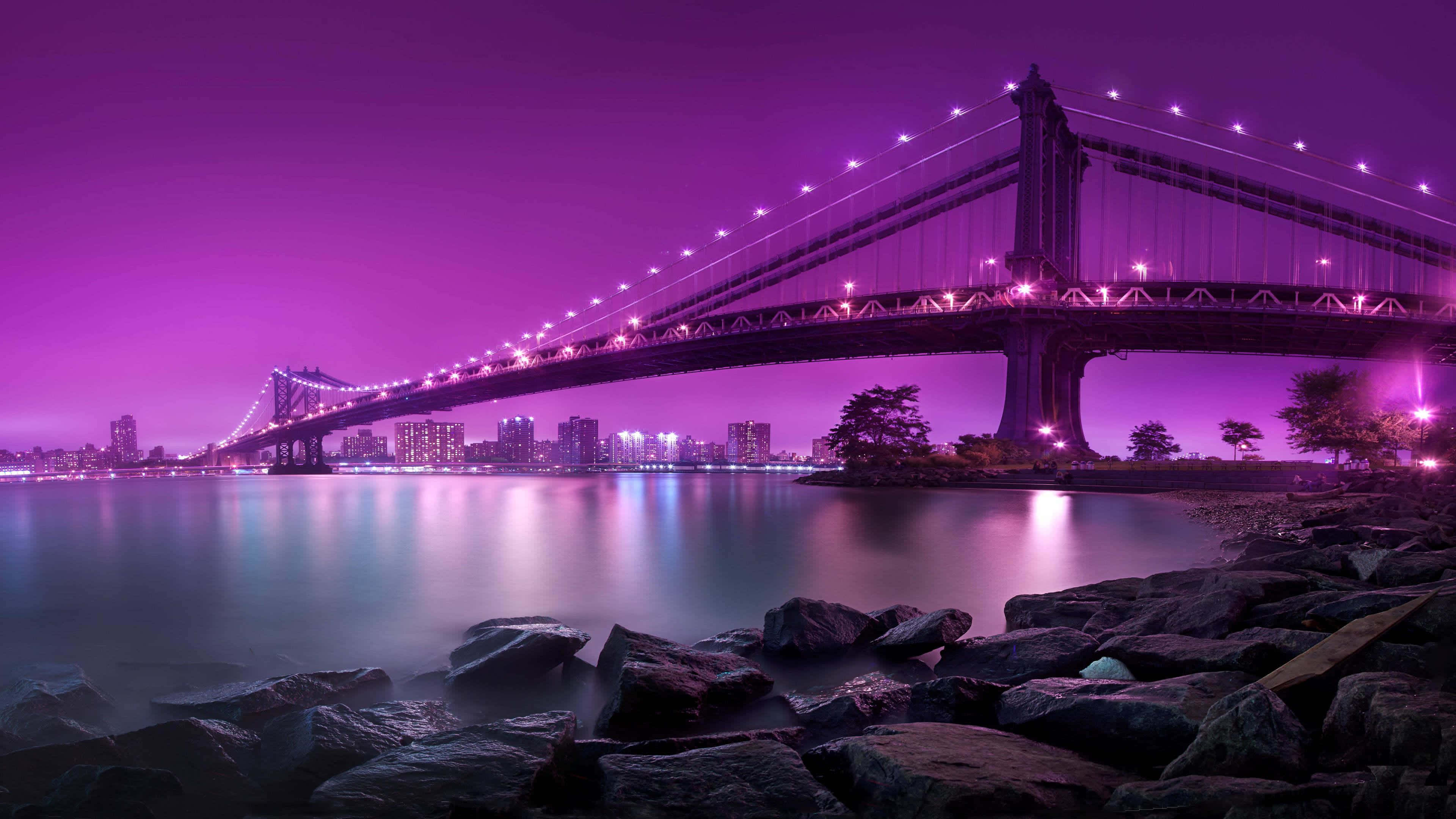 New York City, night skyline, purple lights, 4K Desktop Wallpaper