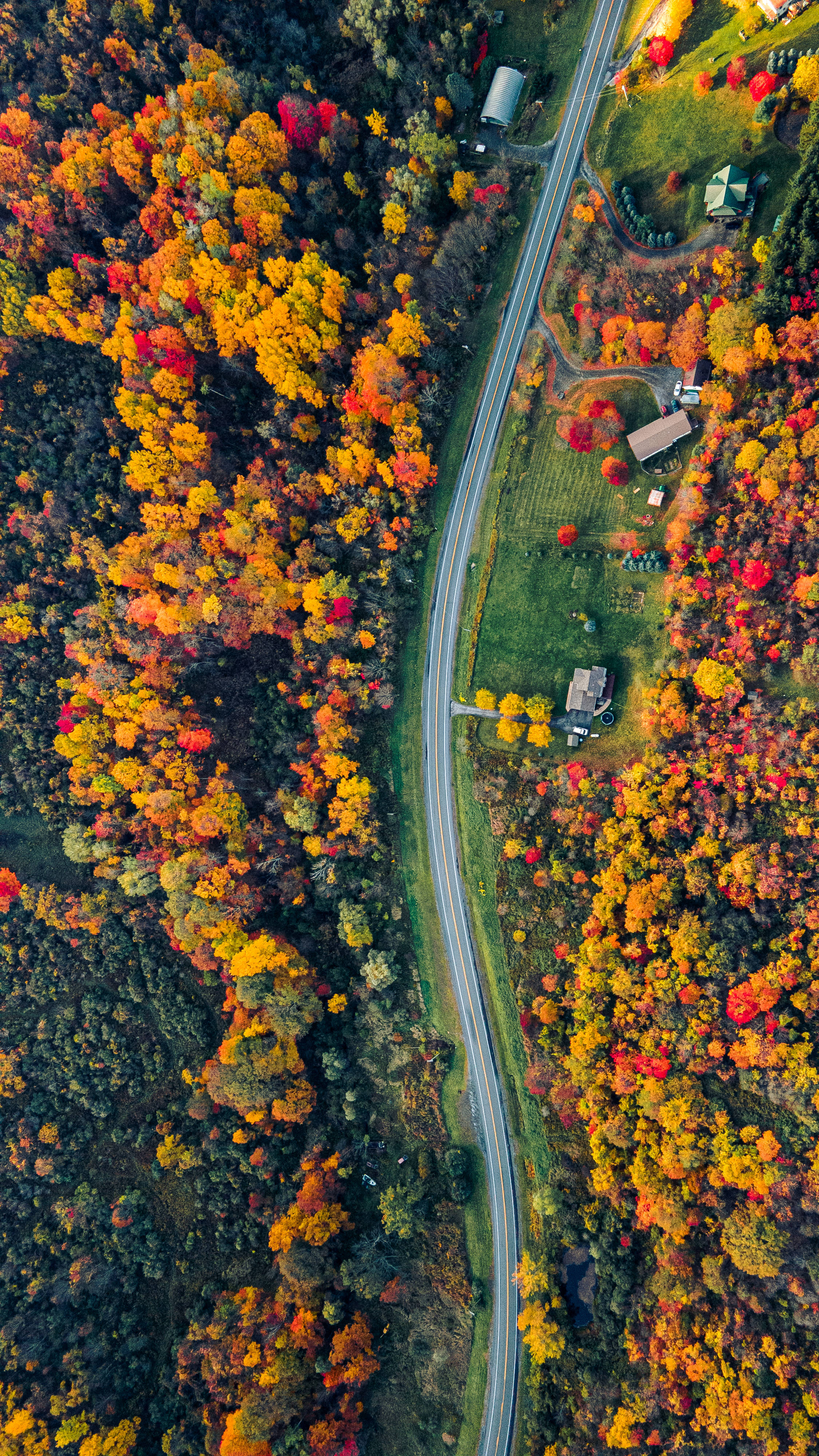 4K New York, winding road, autumn forest, 4K Phone Wallpaper