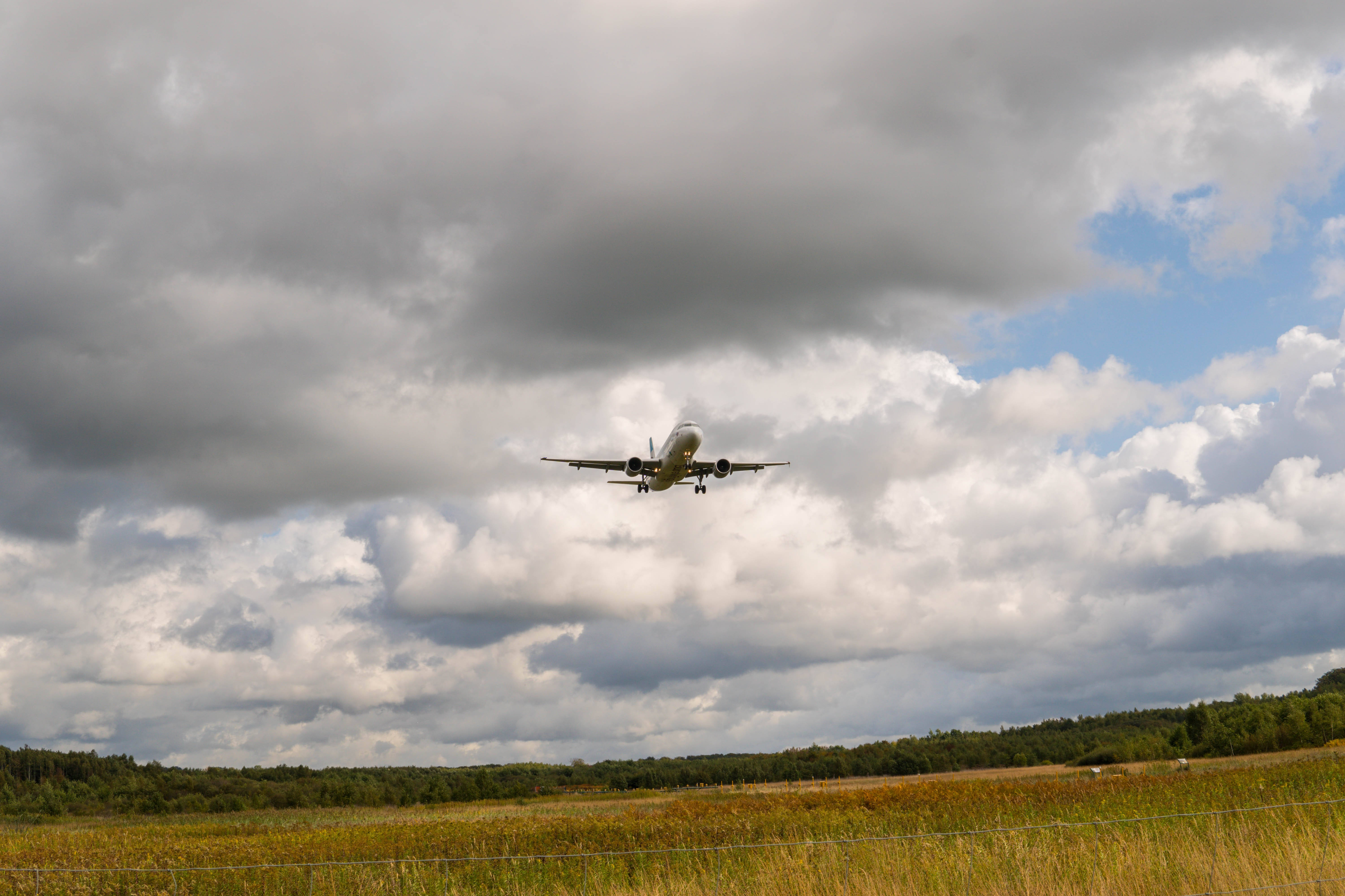 commercial airplane, cloudy sky, golden grassy field, 5K Desktop Wallpaper