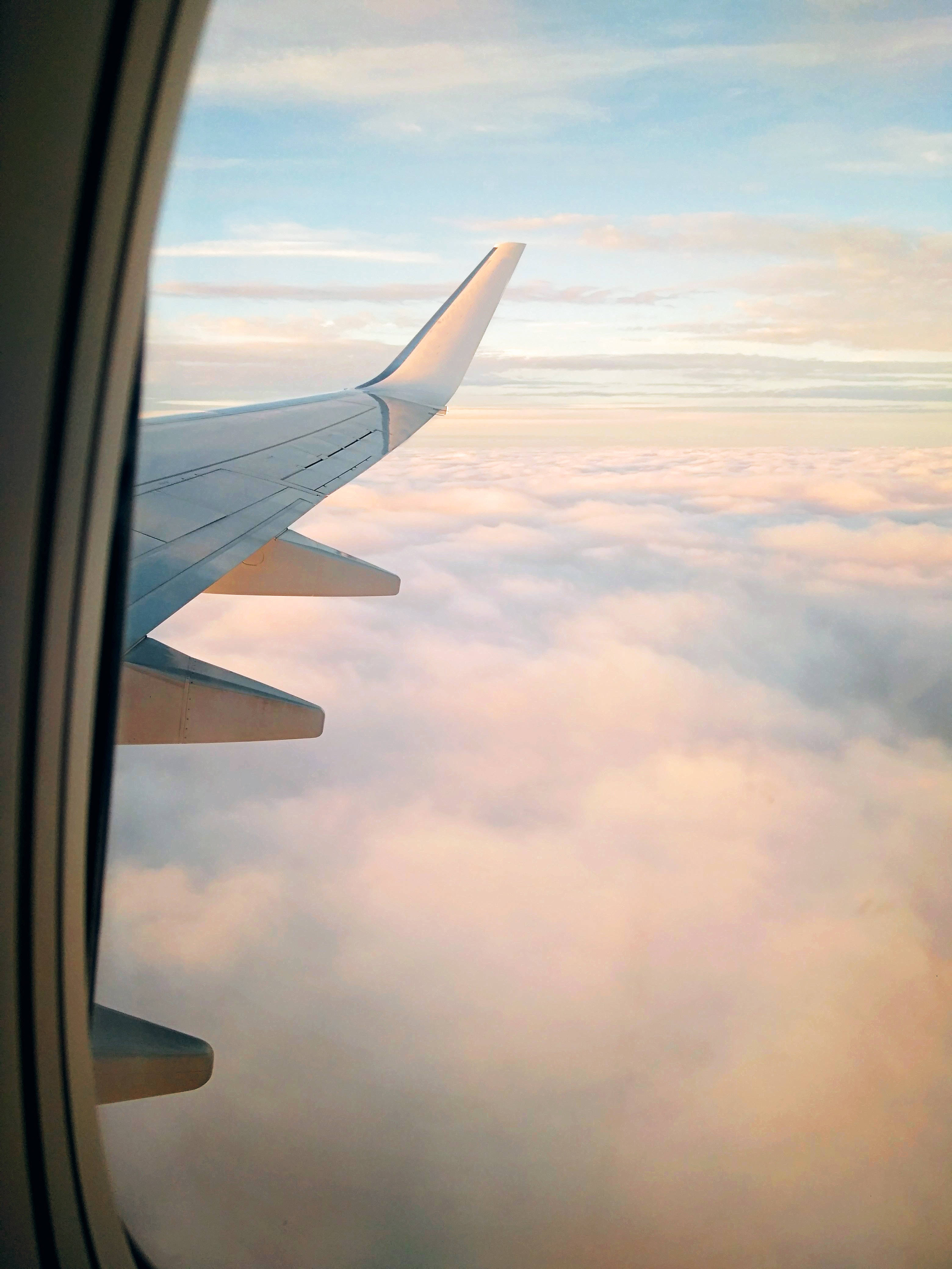 aircraft wing, soft pink and gold clouds, sunrise, 4K Phone Wallpaper