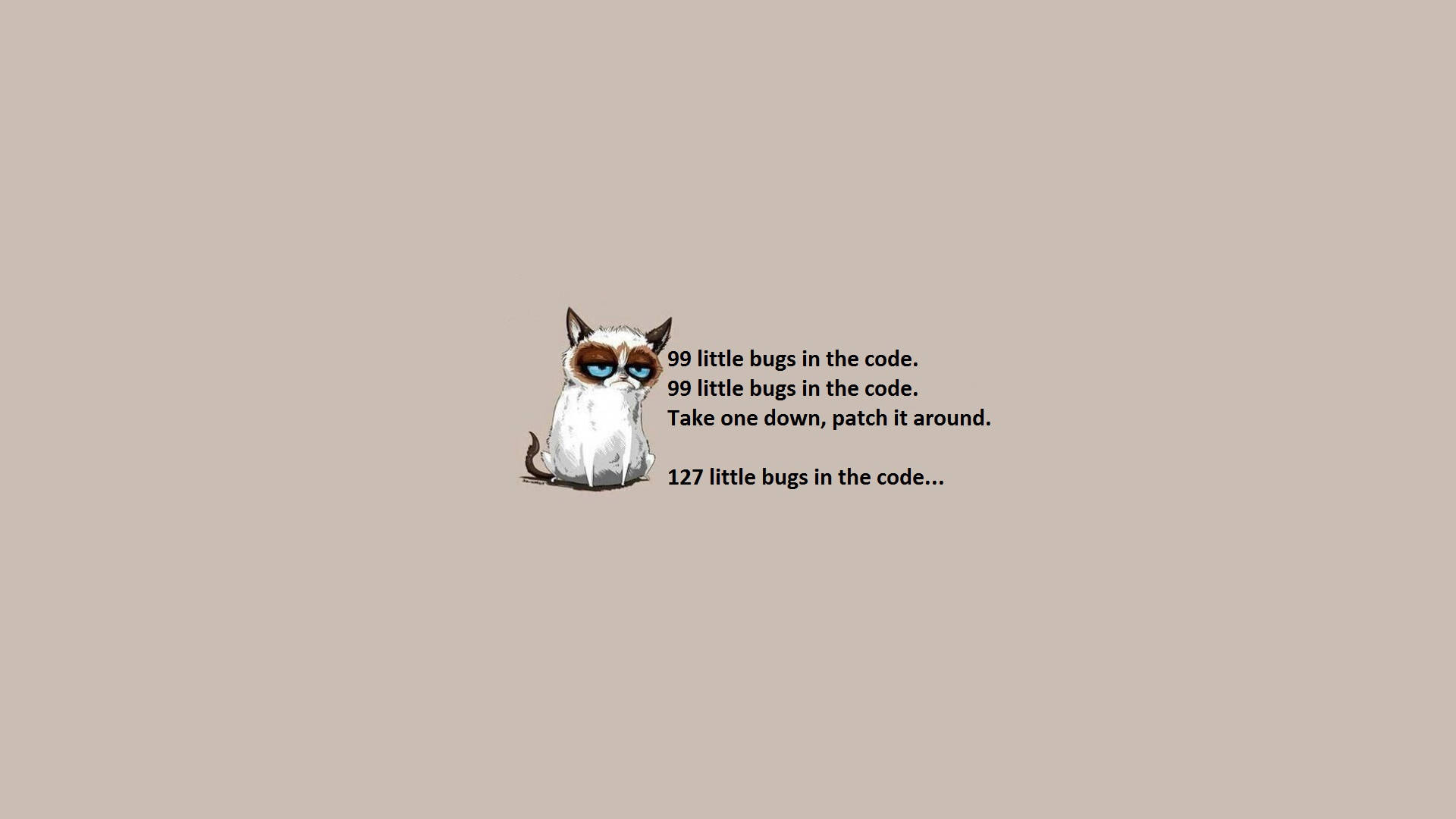 4K Programming, cat, blue eyes, Full HD Desktop Wallpaper