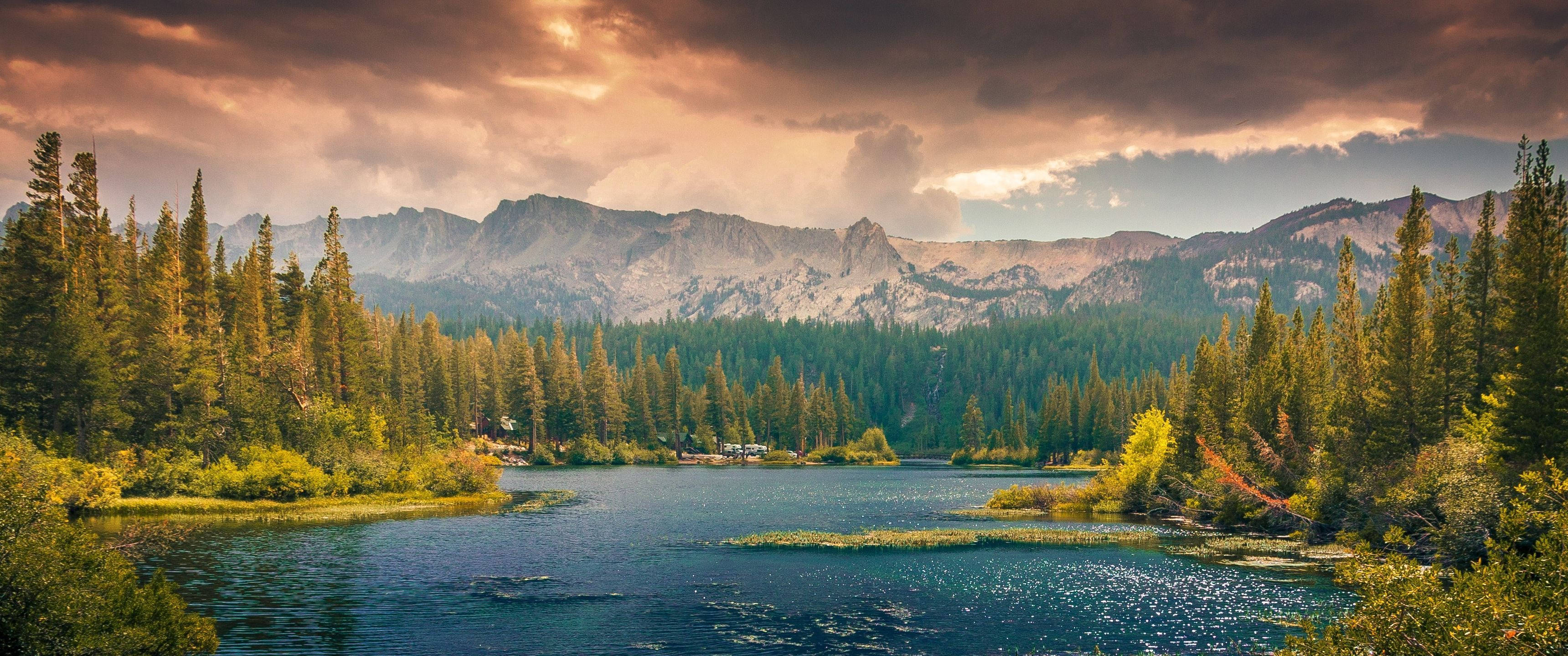 ultra wide 4k river view, lake, dense pine forests, 2K Desktop Wallpaper