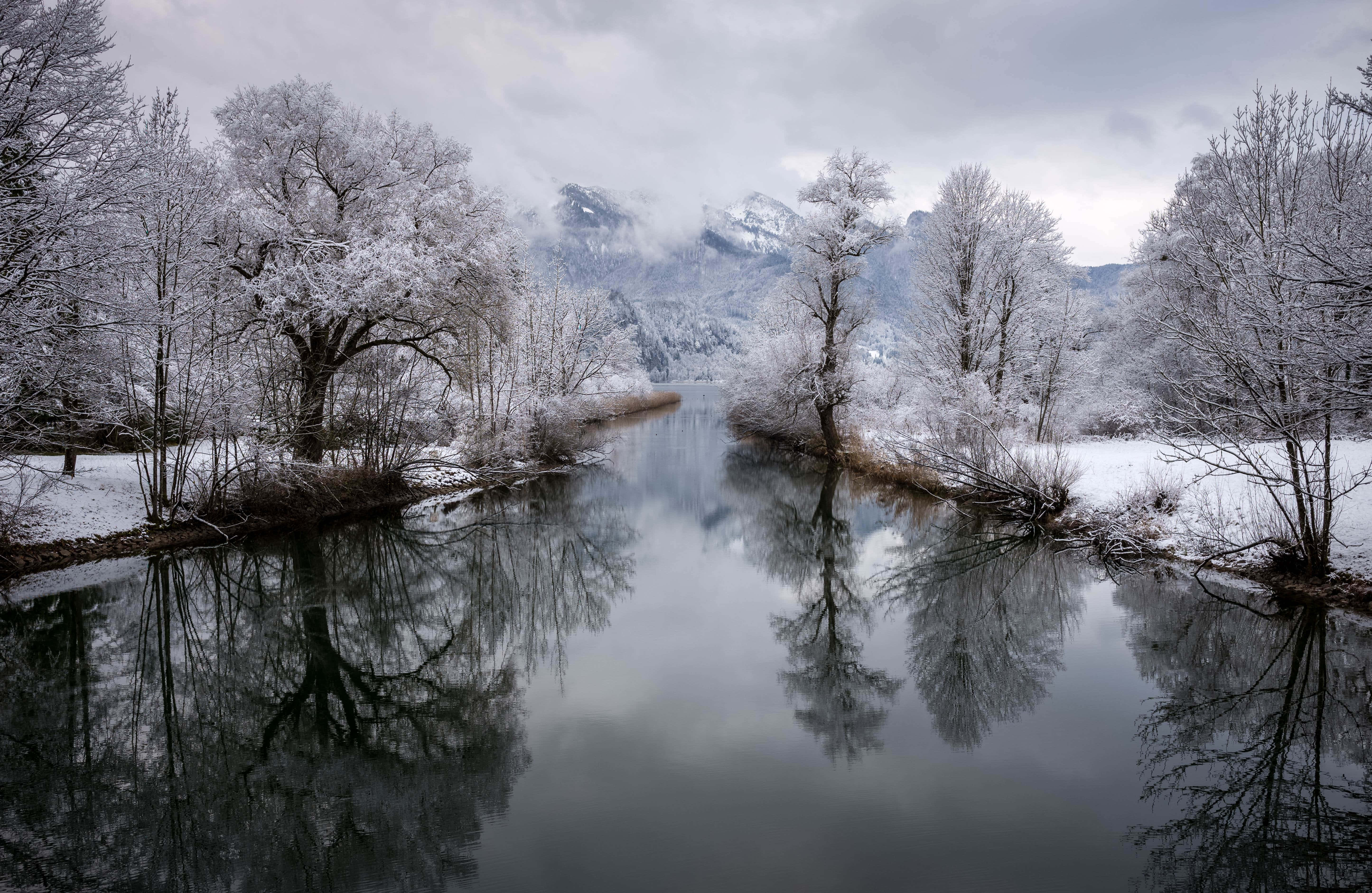 4K River, winter scene, snow-covered trees, 5K Desktop Wallpaper