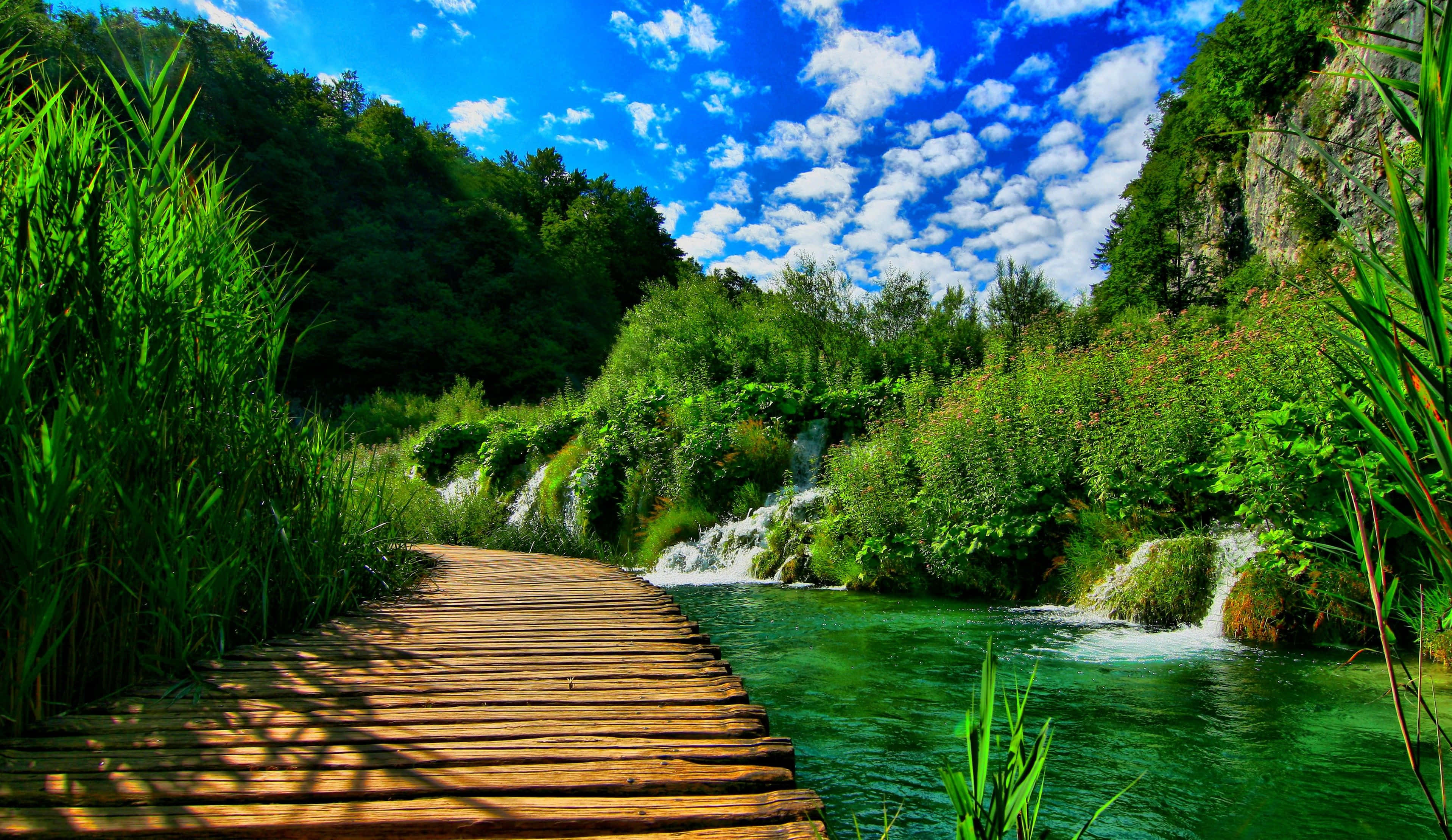 4K River, wooden boardwalk, lush greenery, 2K Desktop Wallpaper