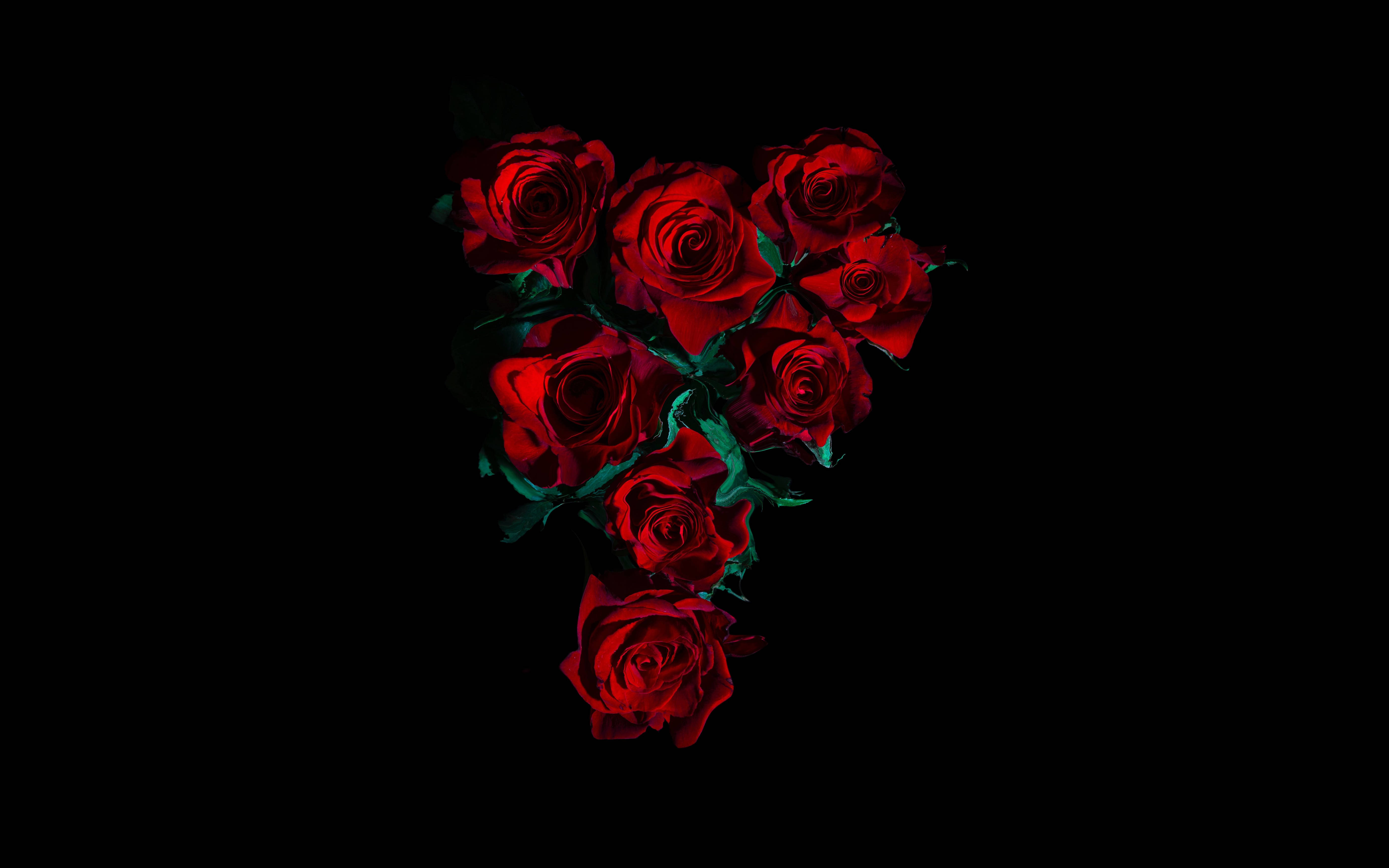 4K, heart-shaped roses, vibrant red roses, 5K Desktop Wallpaper
