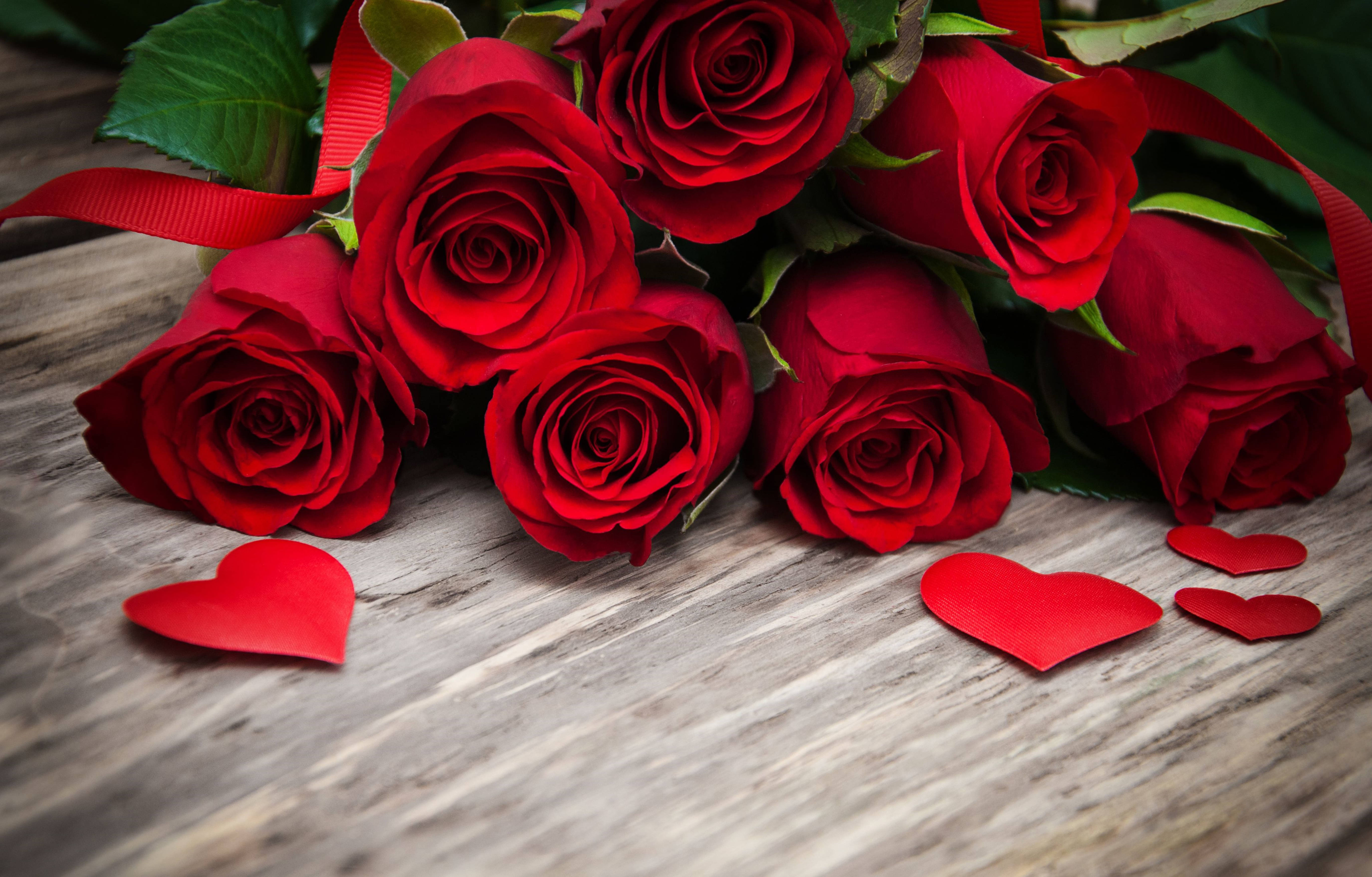 4K Bundle Of Roses, deep red roses, green leaves, 5K Desktop Wallpaper