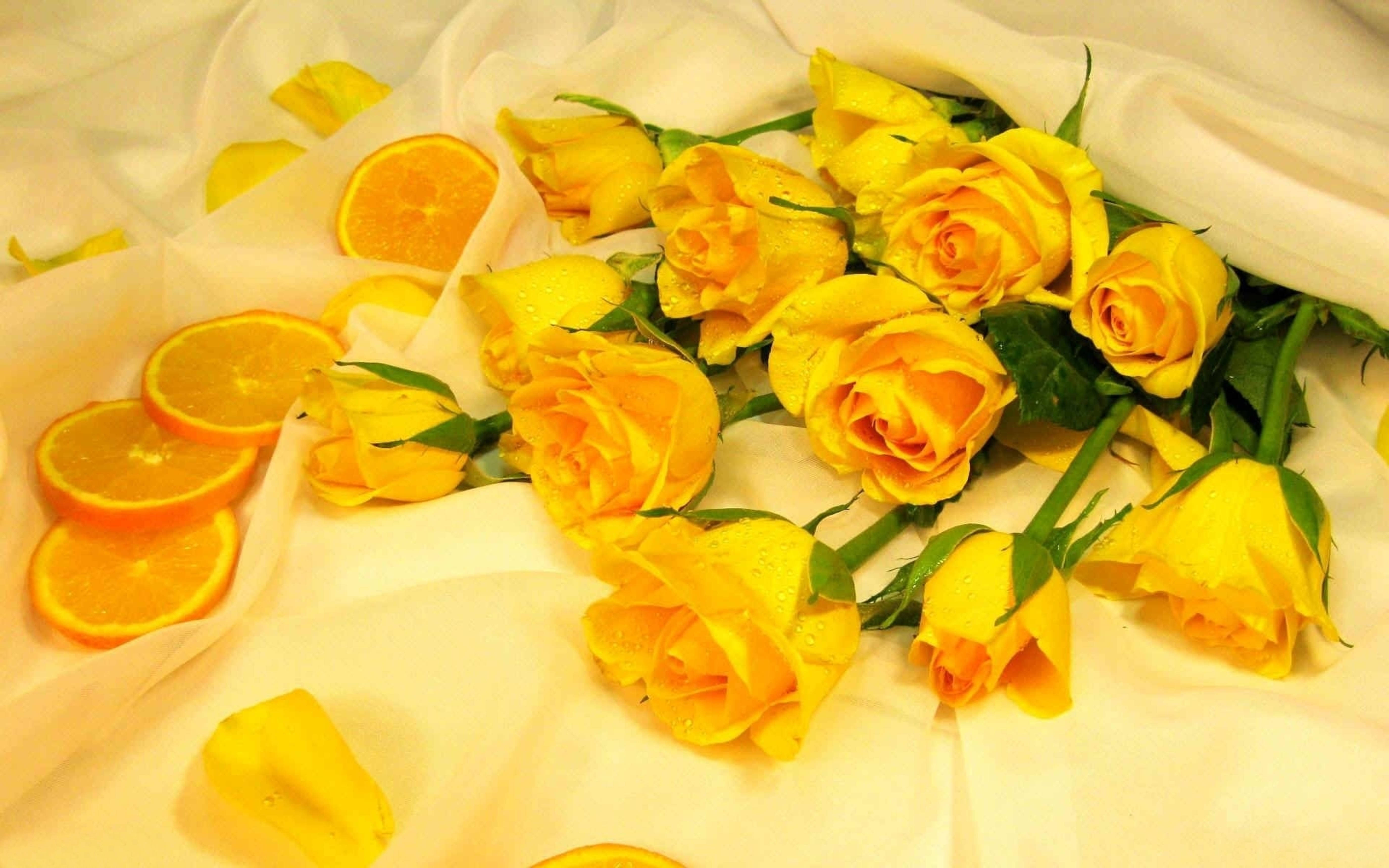 4K, yellow roses, orange slices, 5K Desktop Wallpaper