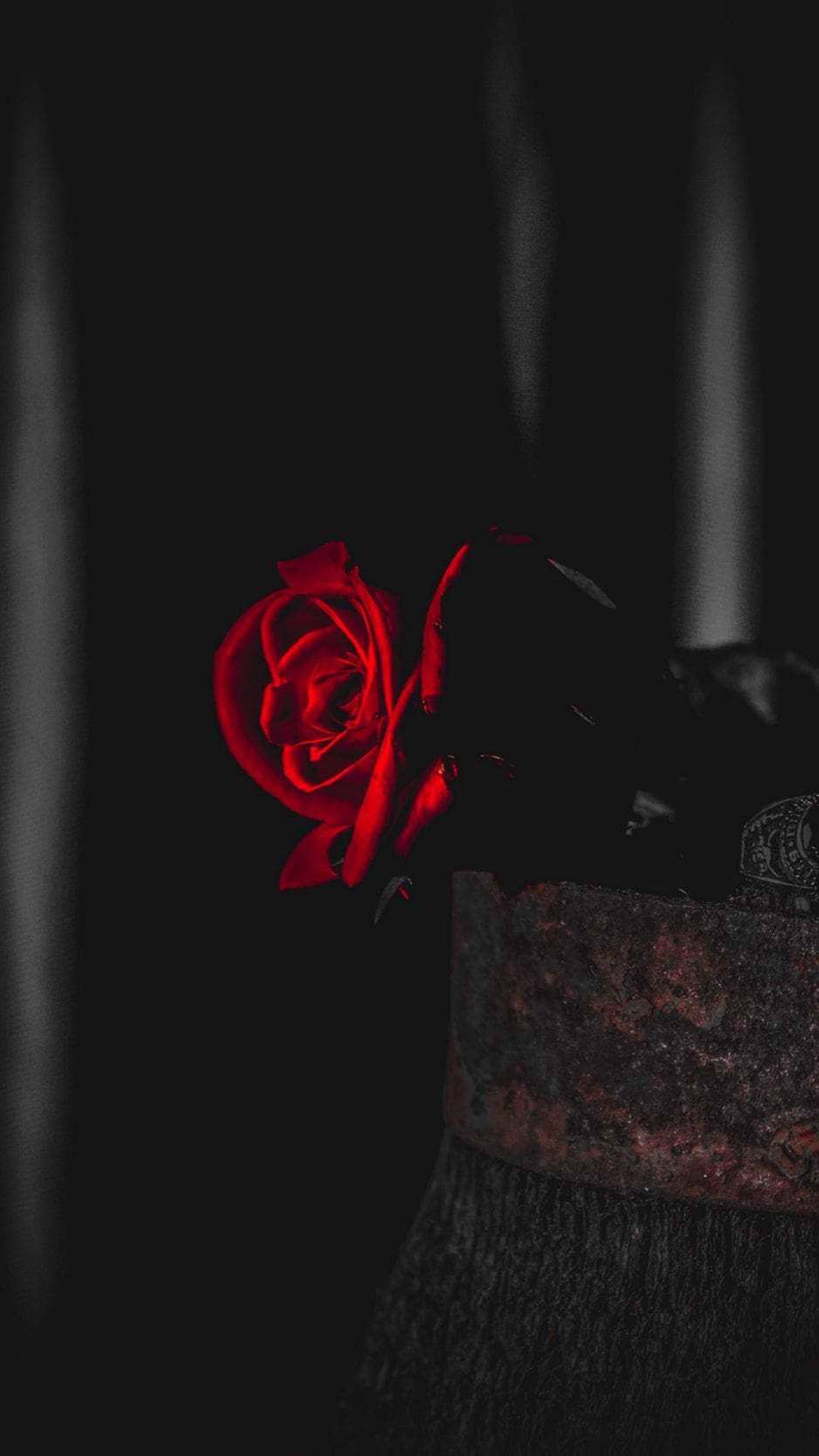 4K Rose, rusty vase, vivid red rose, 8K Phone Wallpaper