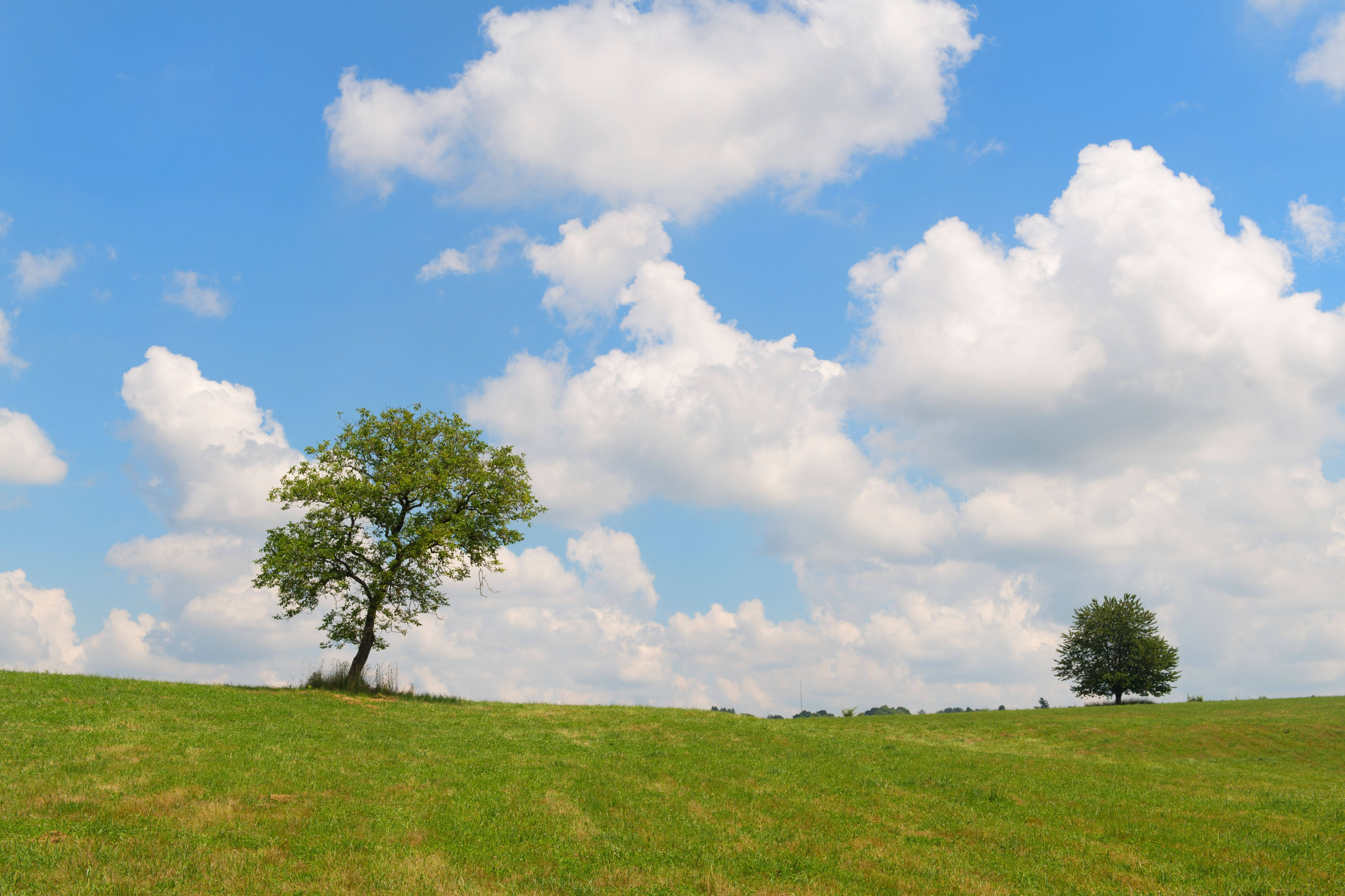 4K Landscape Field Sky Daytime, rolling green hill, vast blue sky, 5K Desktop Wallpaper