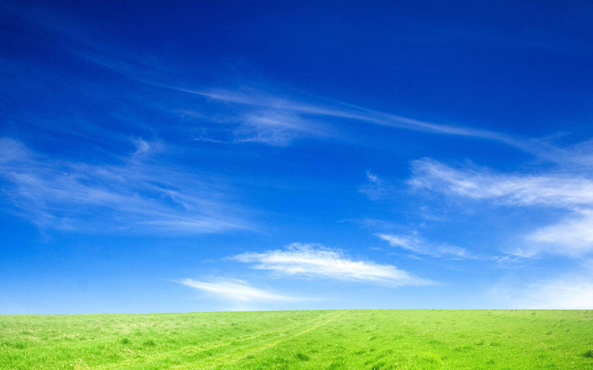 clear sky, vast green field, brilliant blue sky, Full HD Desktop Wallpaper