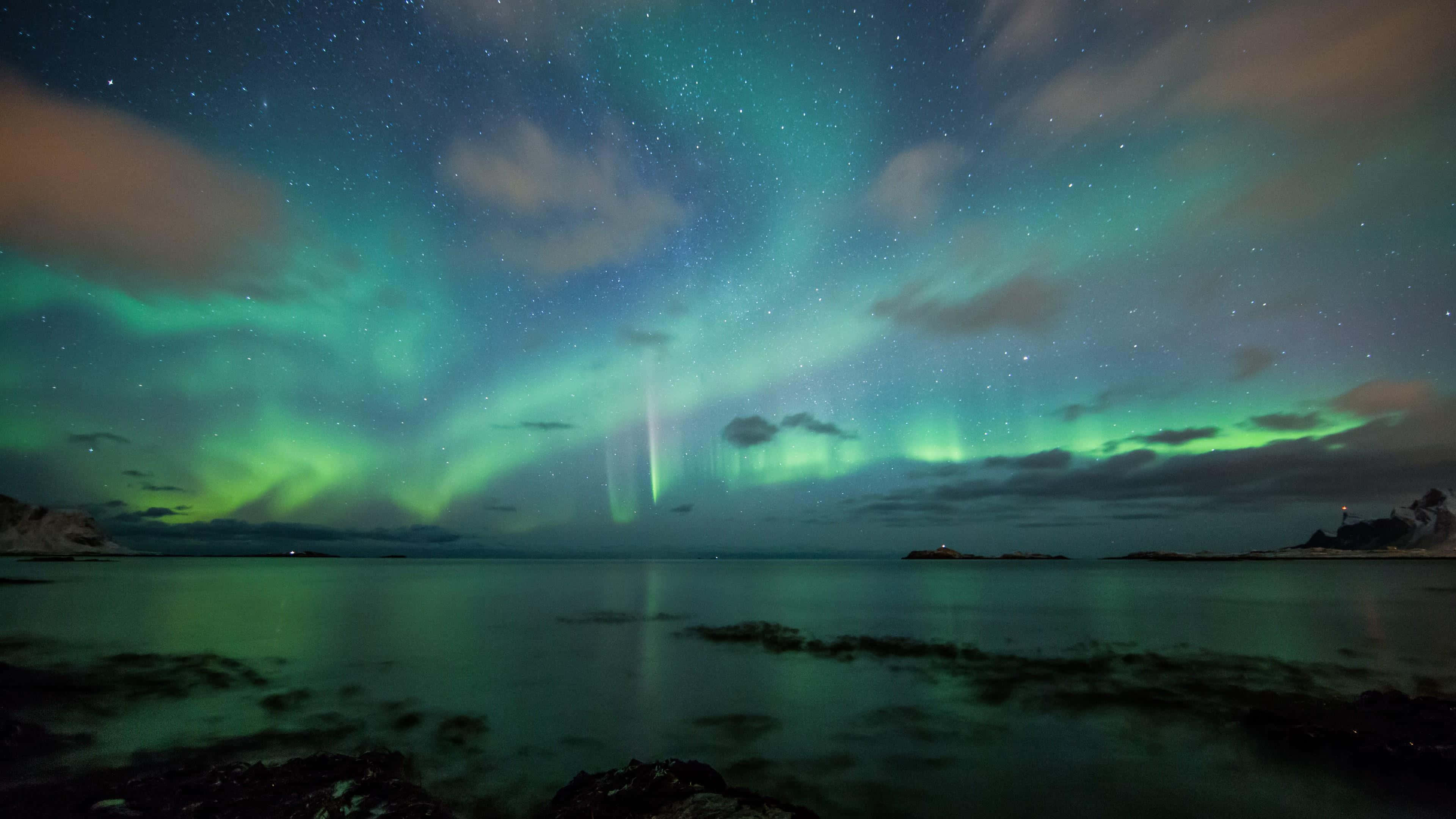 starry night sky, vibrant green aurora borealis, calm reflective Arctic sea, 4K Desktop Wallpaper