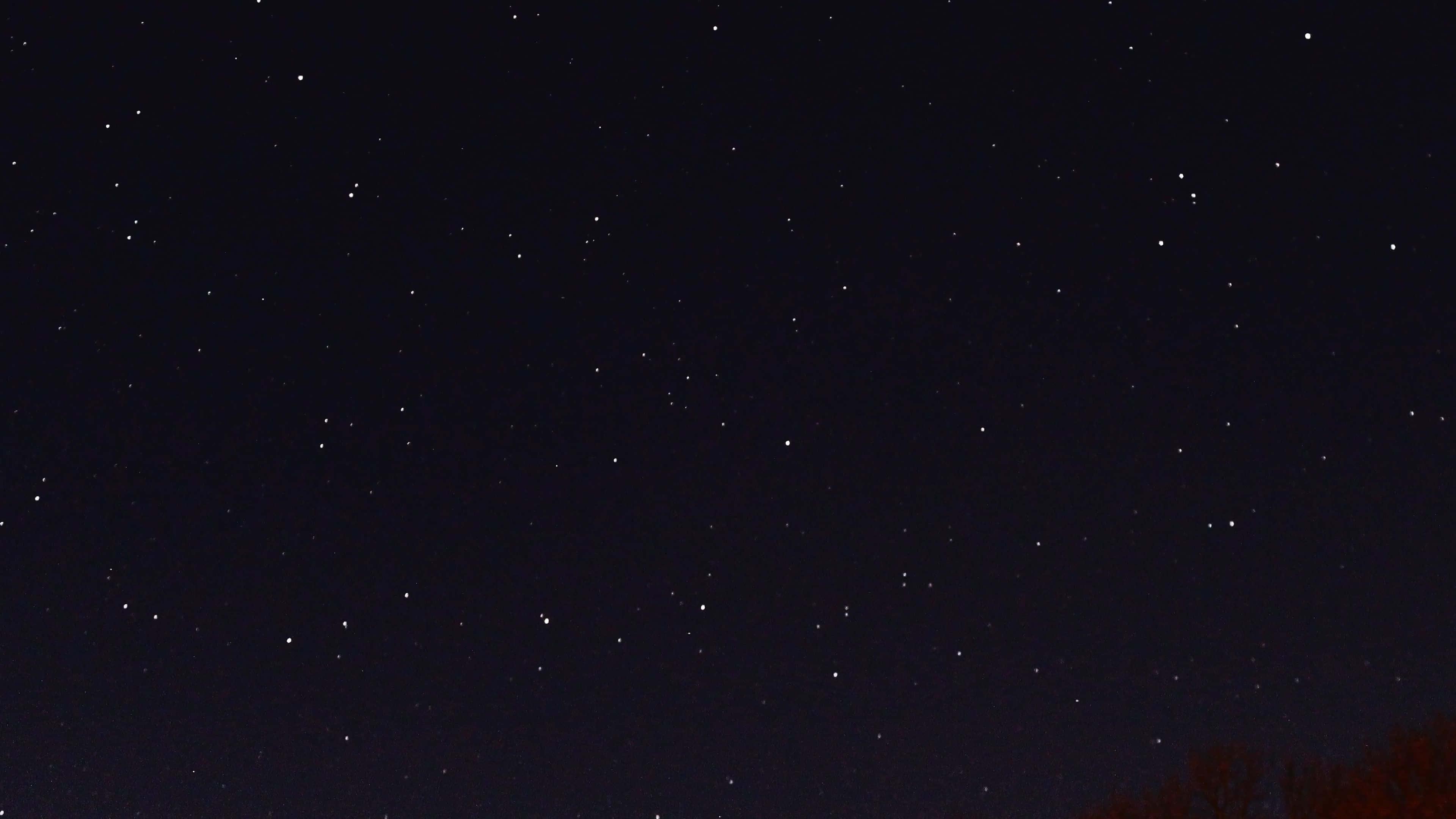 4K Star, starry night sky, faint tree silhouettes, 4K Desktop Wallpaper