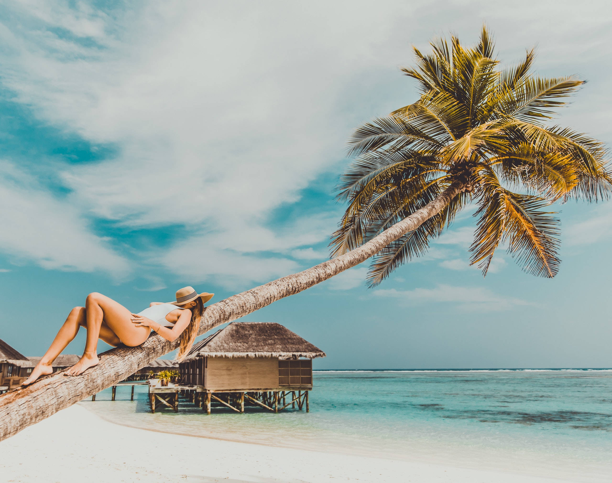 4K Summer, palm tree trunk, turquoise lagoon, 2K Desktop Wallpaper