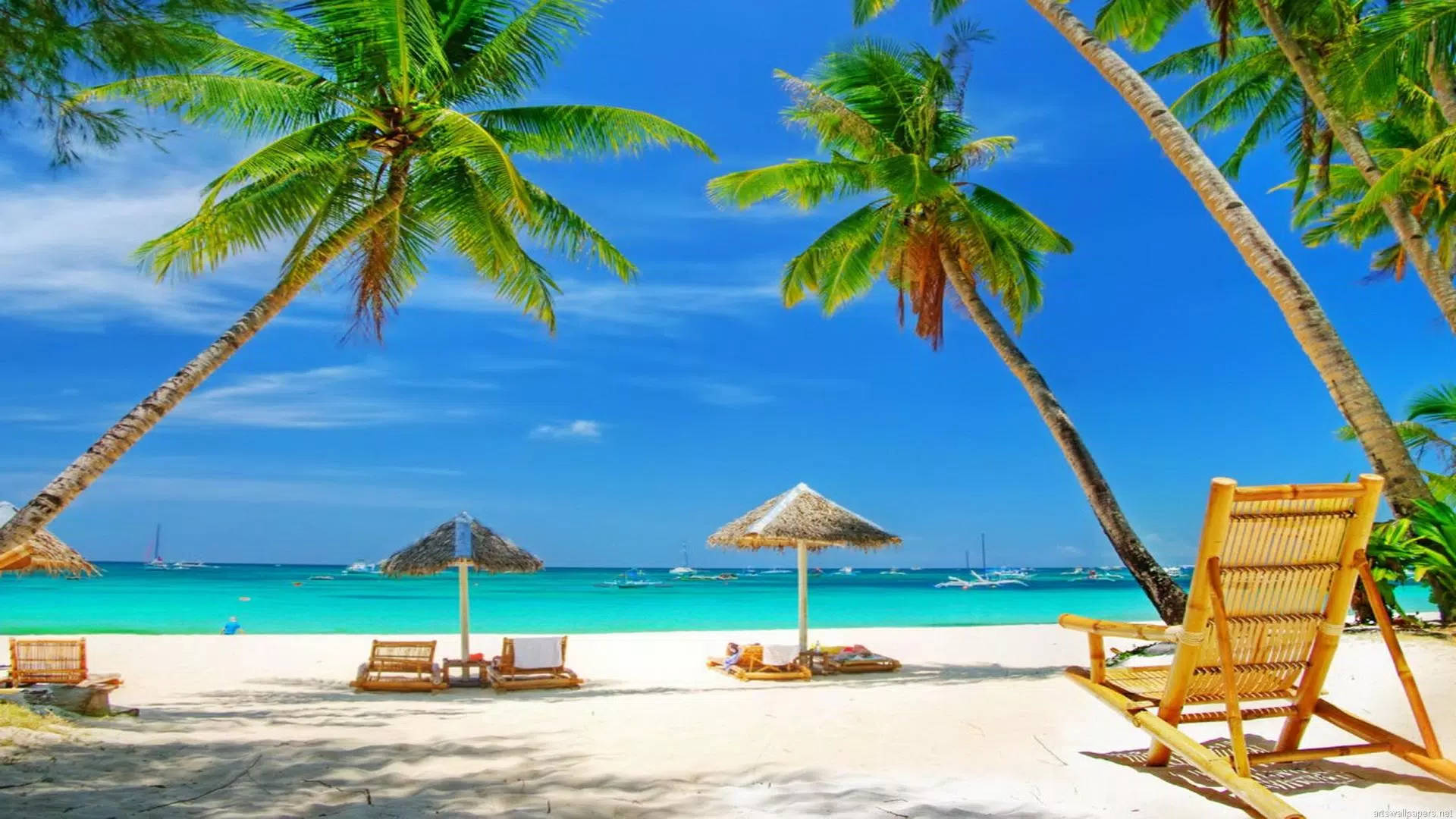 4K Summer, tropical beach paradise, palm trees, Full HD Desktop Wallpaper