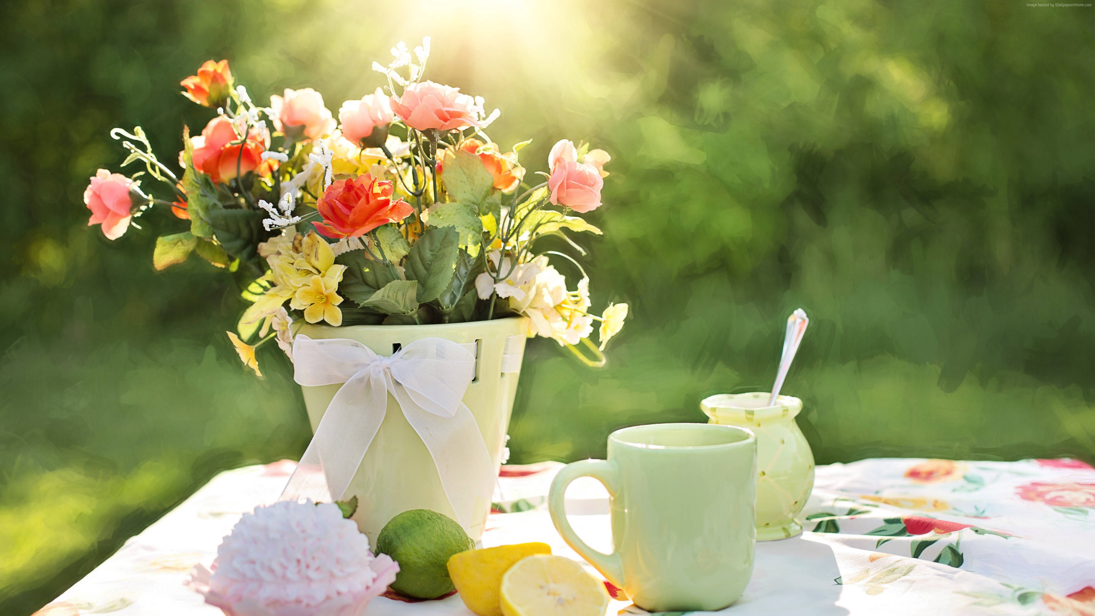 4K Summer, pink and yellow flowers, cream bucket, 4K Desktop Wallpaper