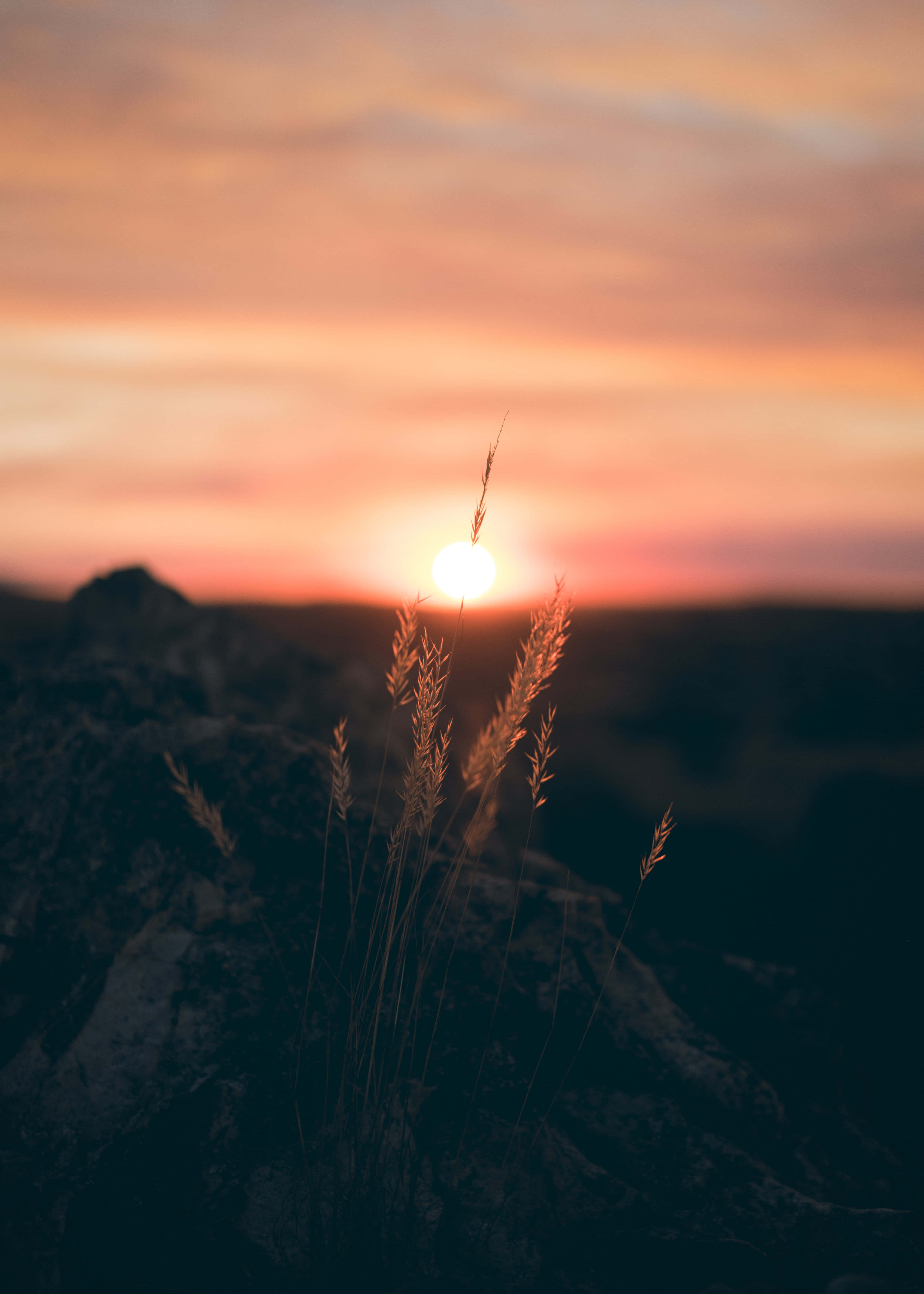 4K Sunrise, vibrant orange, pink sunset, 5K Phone Wallpaper