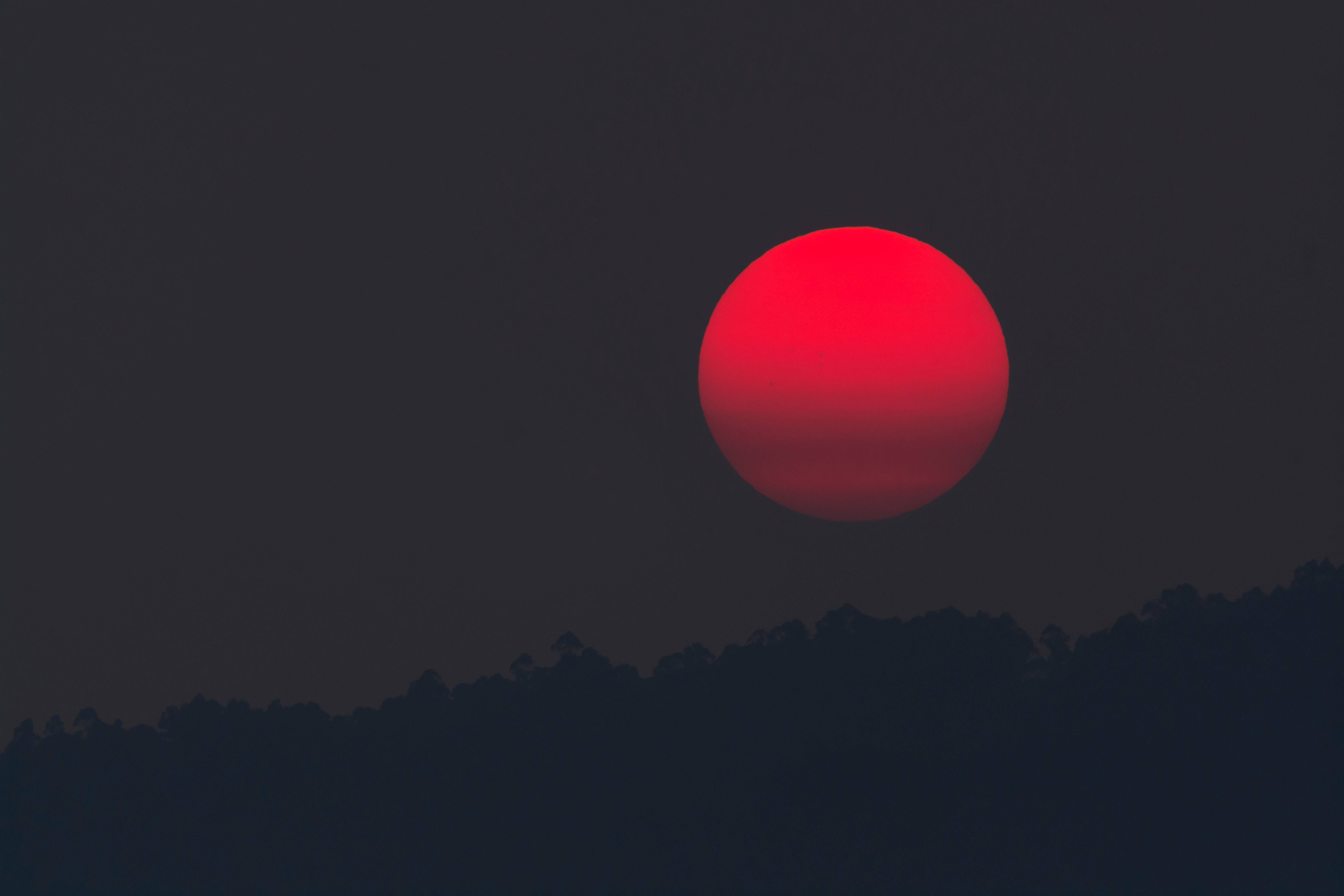 4K Sunset, red sun, dark treeline, 5K Desktop Wallpaper