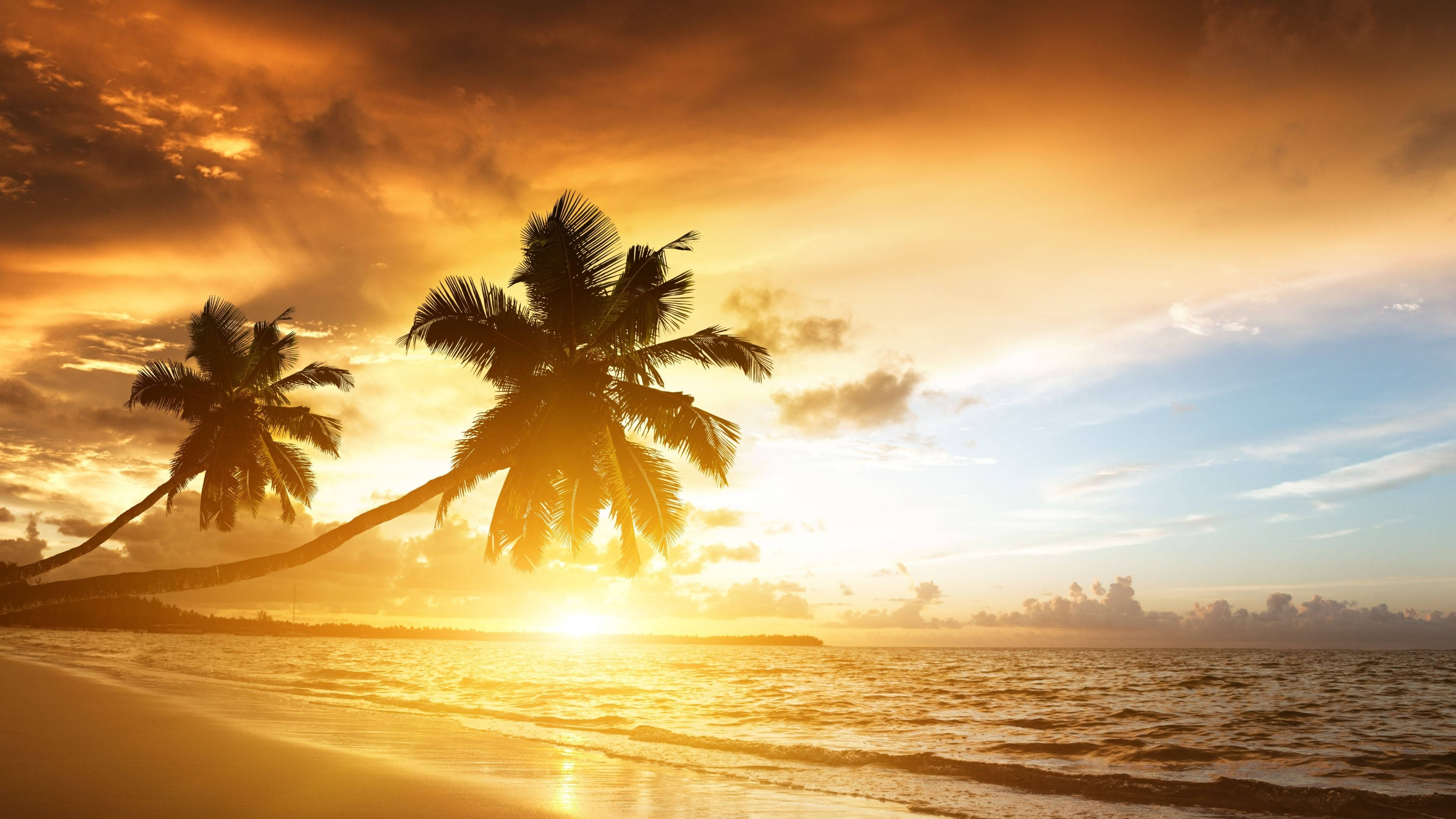 4K Beach Sunset, palm trees, fiery sunset, 4K Desktop Wallpaper