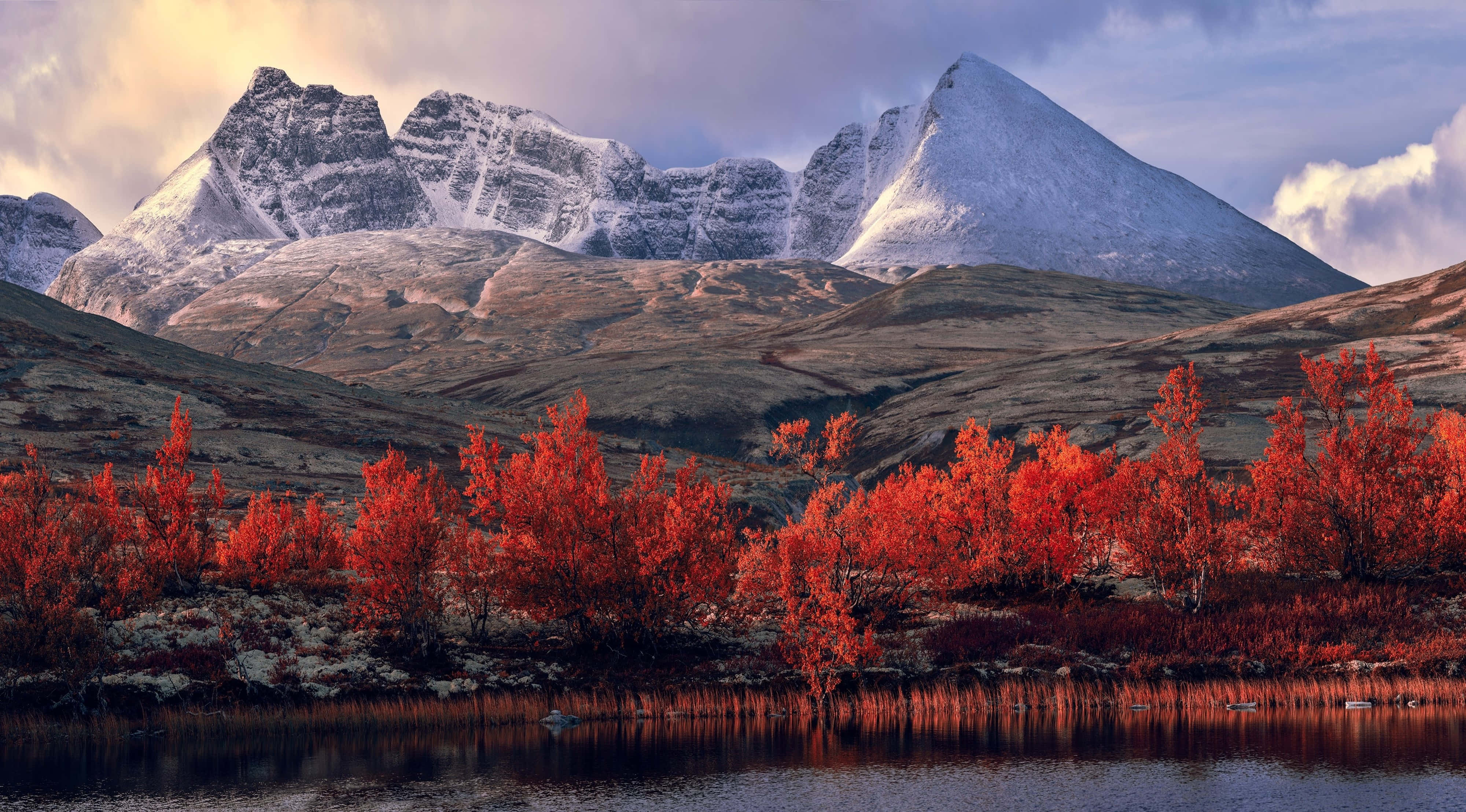 4K UHD, snow-capped mountains, vibrant red forest, 4K Desktop Wallpaper