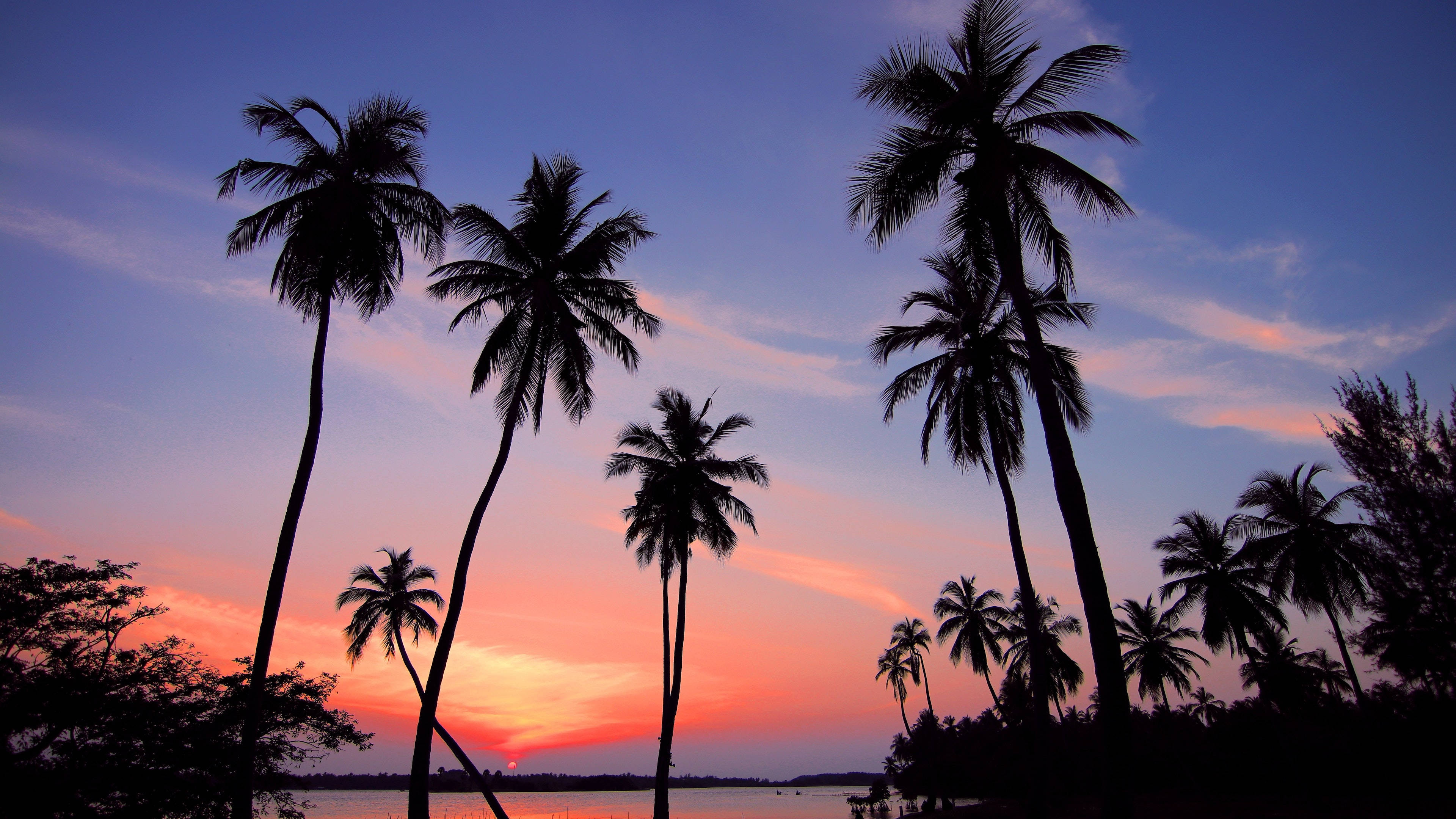 4K Ultra HD 2160p, palm trees, sunset, 4K Desktop Wallpaper