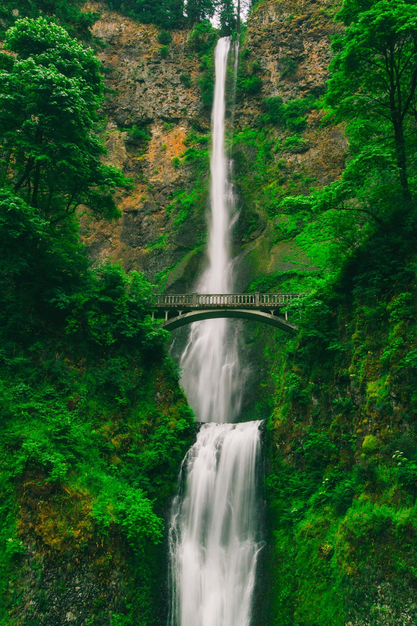 4K Ultra HD Android, waterfall, mossy cliff, Full HD Phone Wallpaper