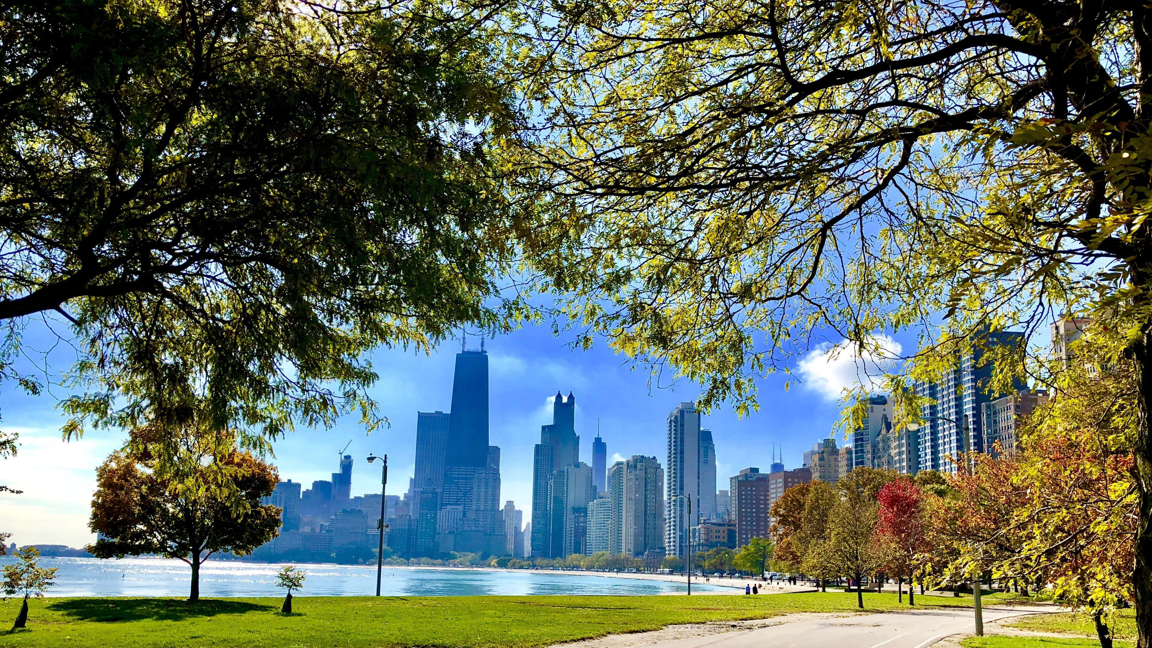 4K Ultra HD Chicago, autumn park, city skyline, 4K Desktop Wallpaper