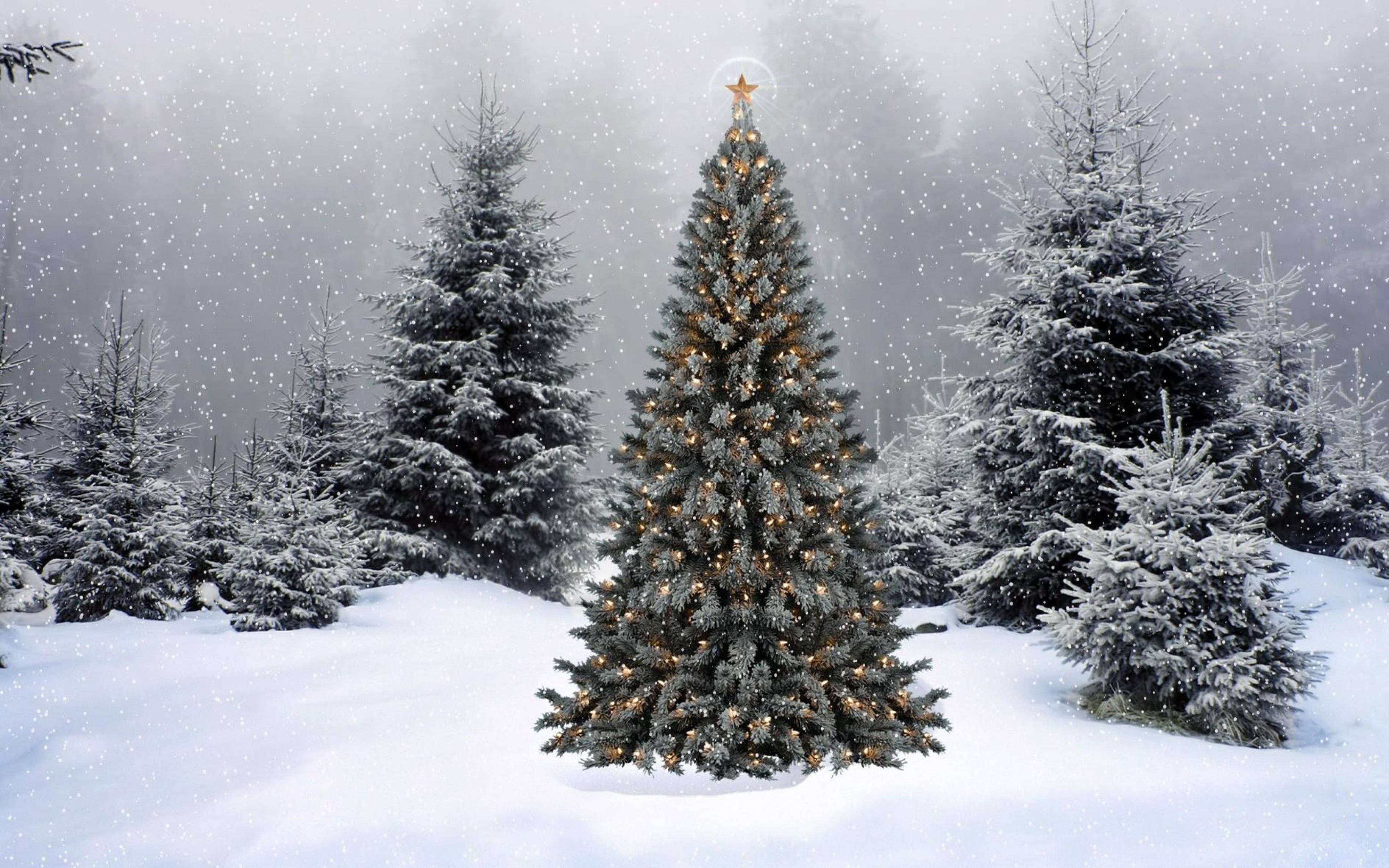 4K Ultra HD Christmas, snow-covered Christmas tree, warm glowing lights, 4K Desktop Wallpaper