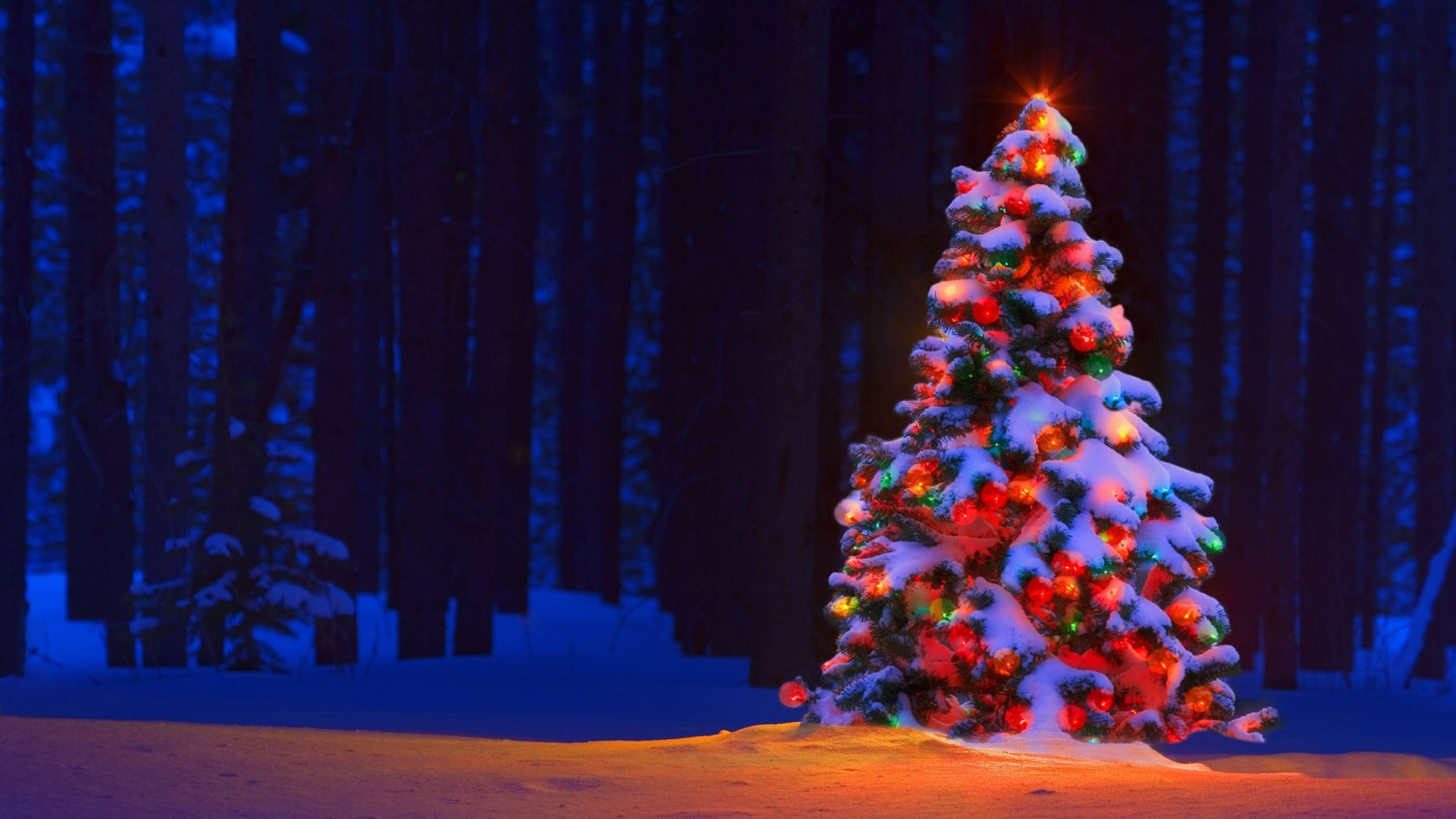 4K Ultra HD Christmas, Christmas tree, snow-covered, 4K Desktop Wallpaper