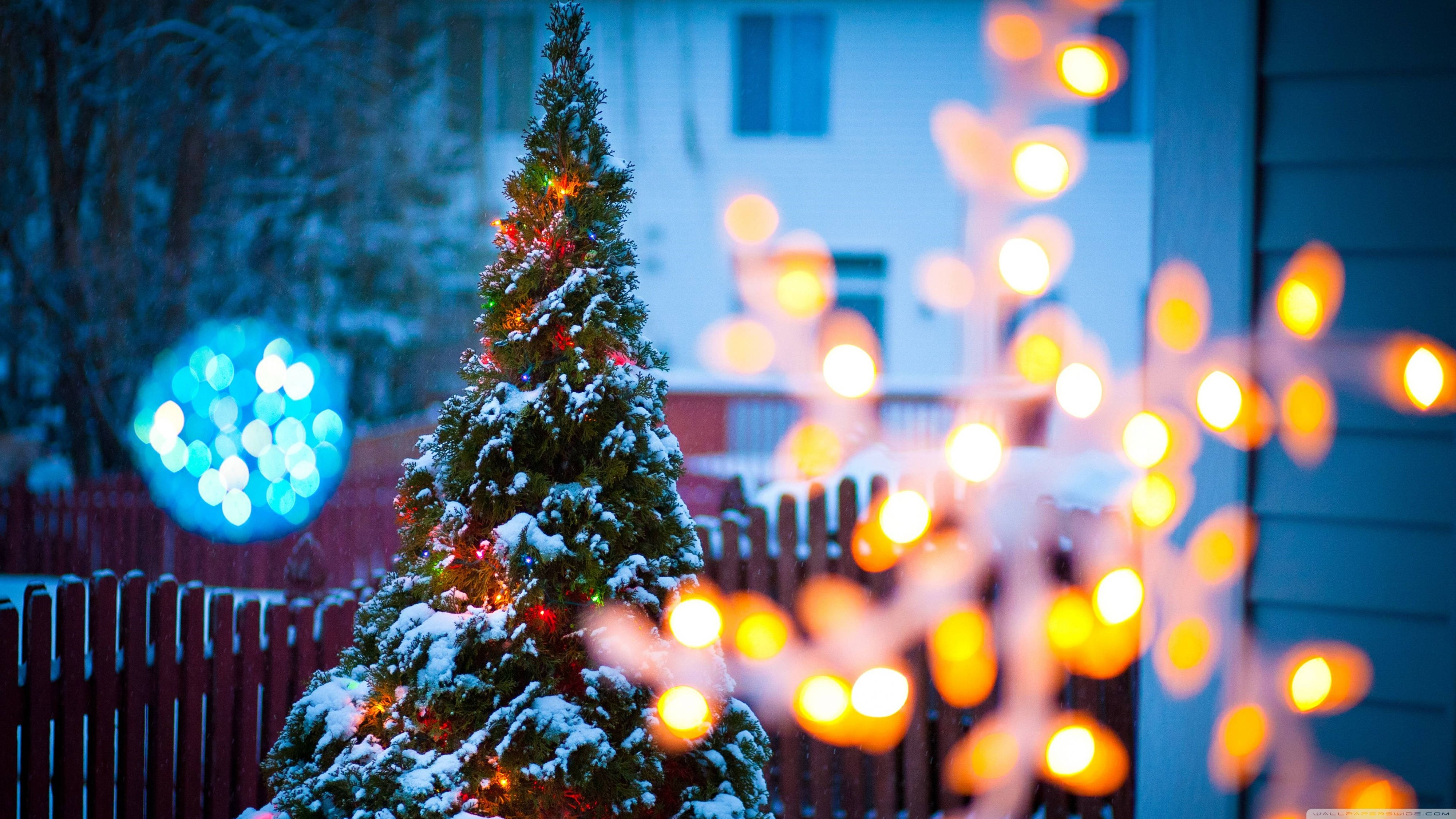 4K Ultra HD Christmas Tree, snow-dusted, warm lights, 4K Desktop Wallpaper