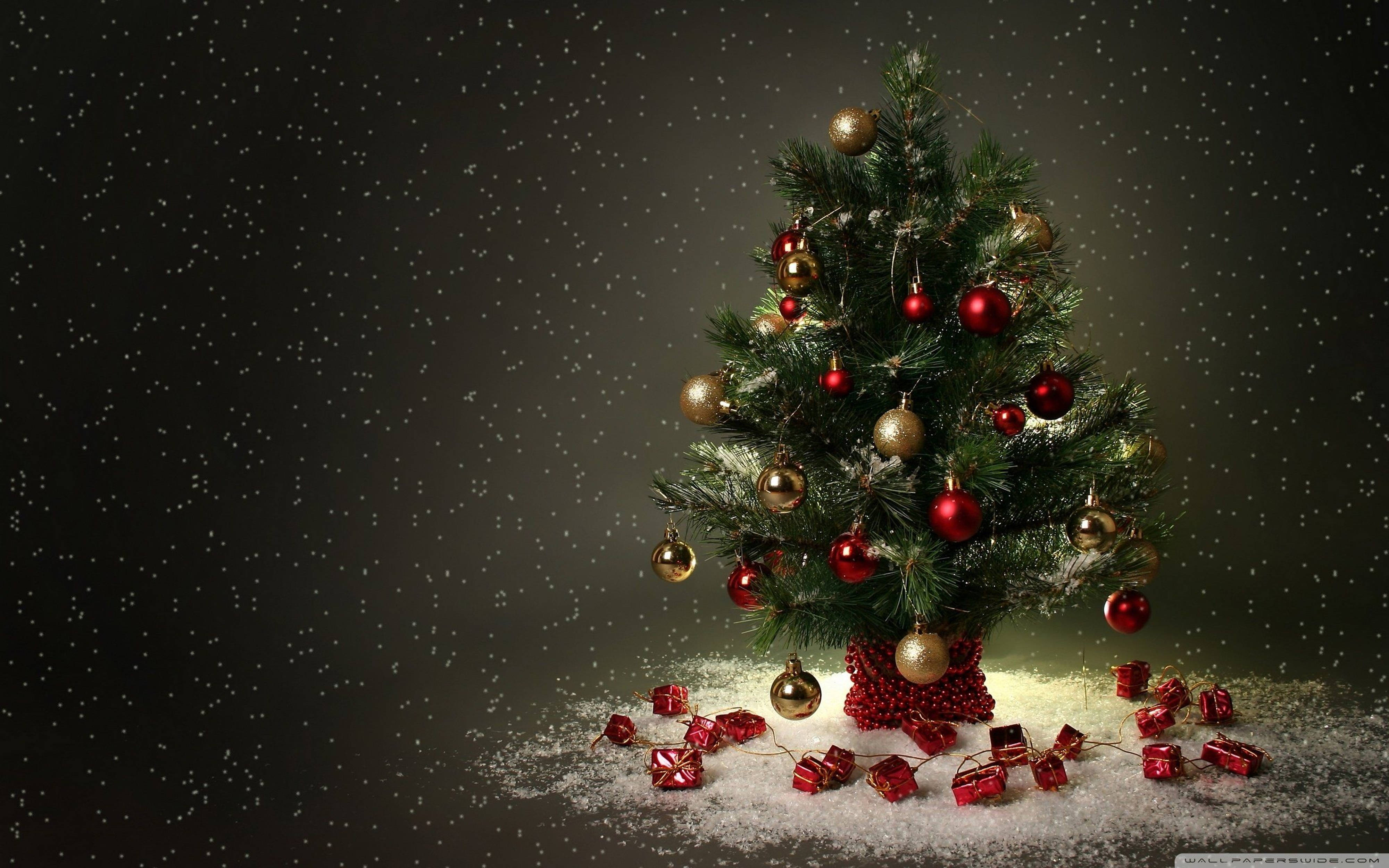 4K Ultra HD Christmas, tiny tree, red and gold ornaments, 4K Desktop Wallpaper