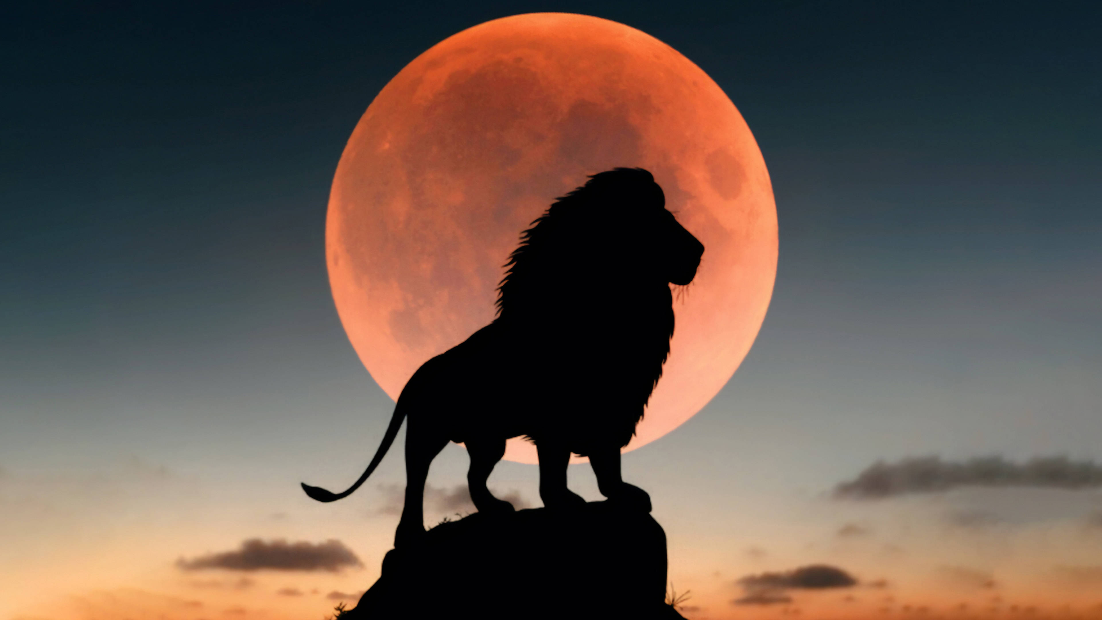 Lions, red full moon, blood-orange moon, 4K Desktop Wallpaper