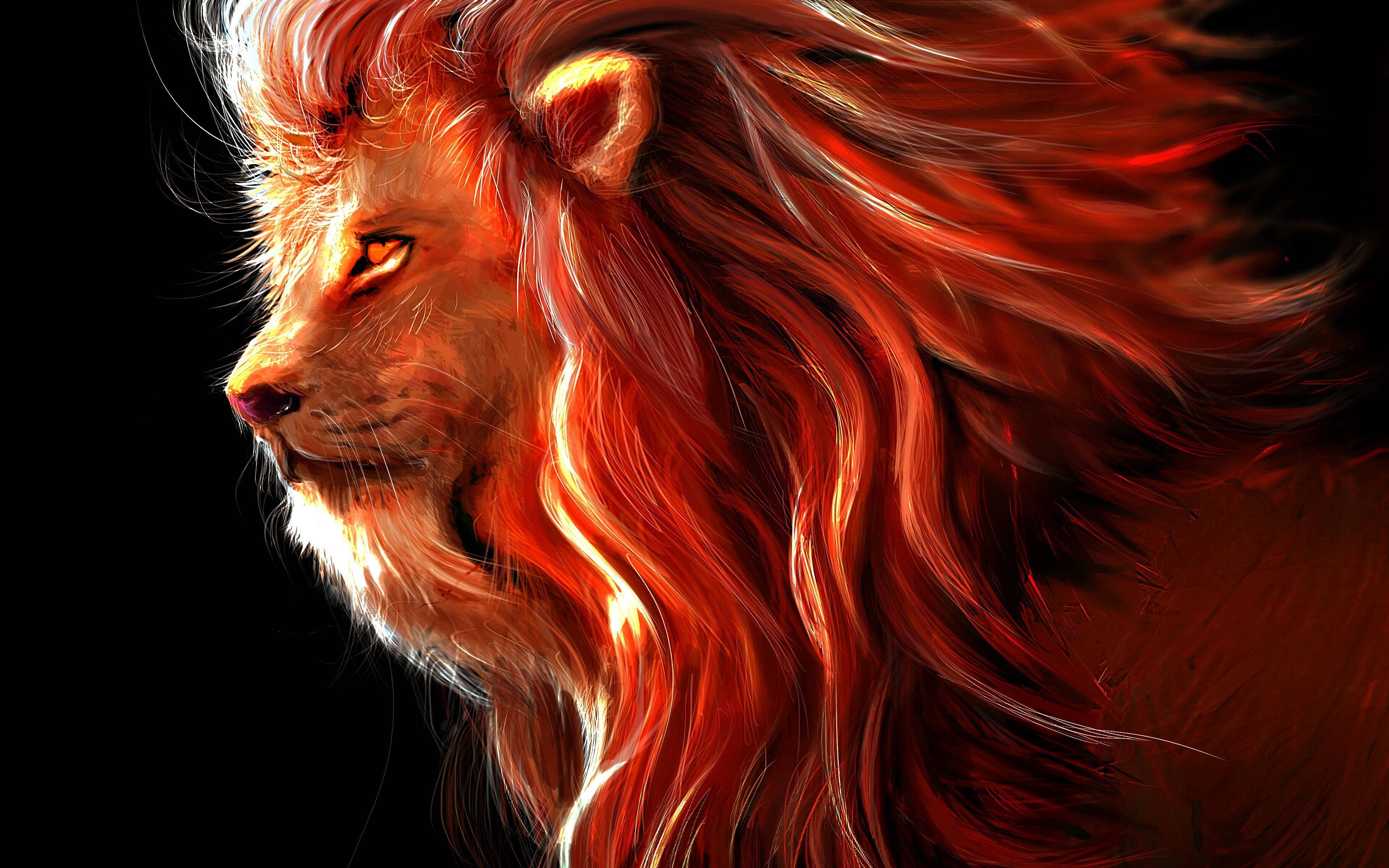 4K Ultra HD Lions, lion, fiery orange mane, 4K Desktop Wallpaper