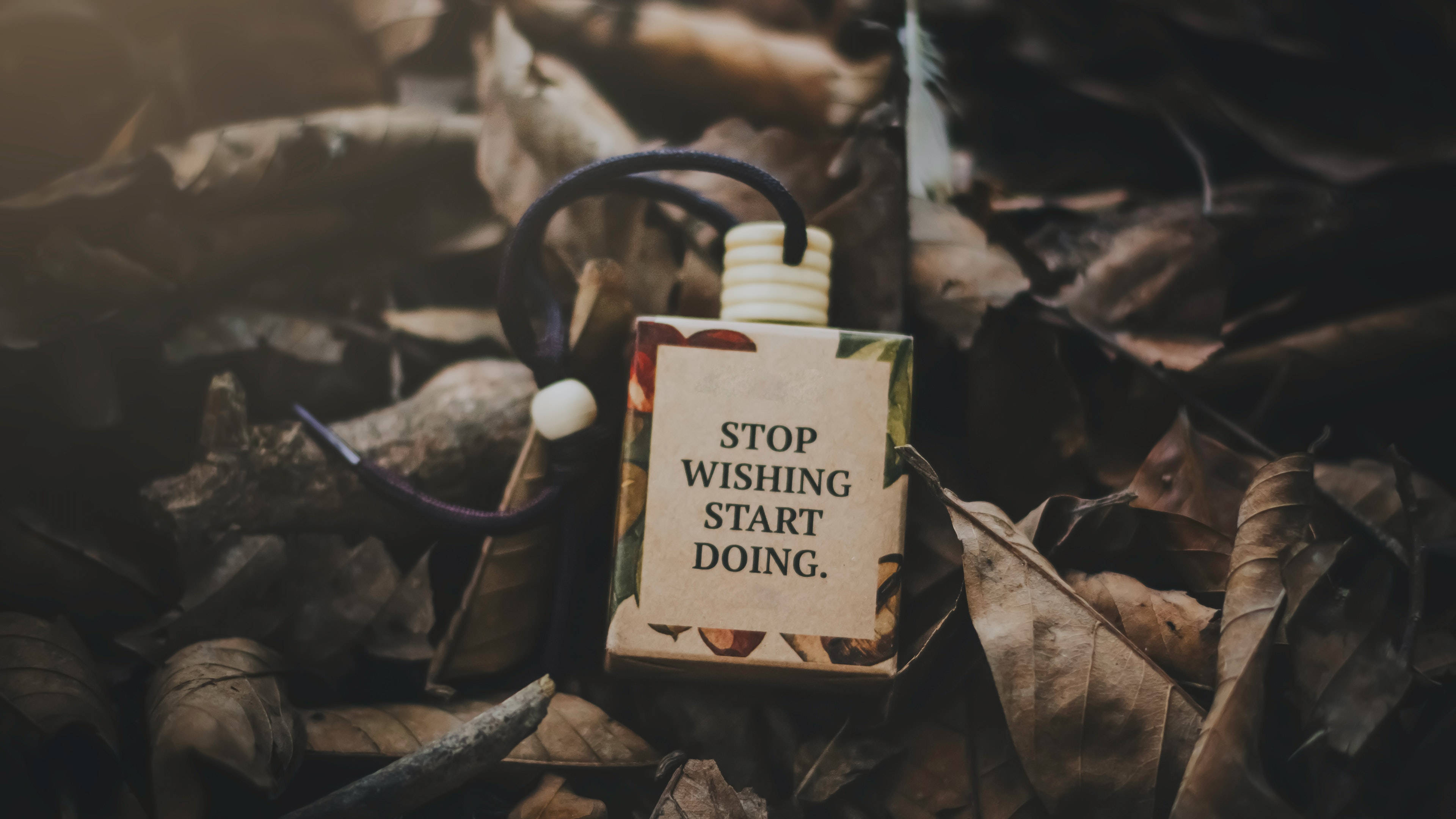 4K Ultra HD Motivational, autumn leaves, dry brown, 4K Desktop Wallpaper