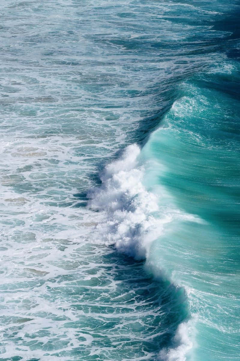 turquoise wave, crashing, white foam, SD Phone Wallpaper