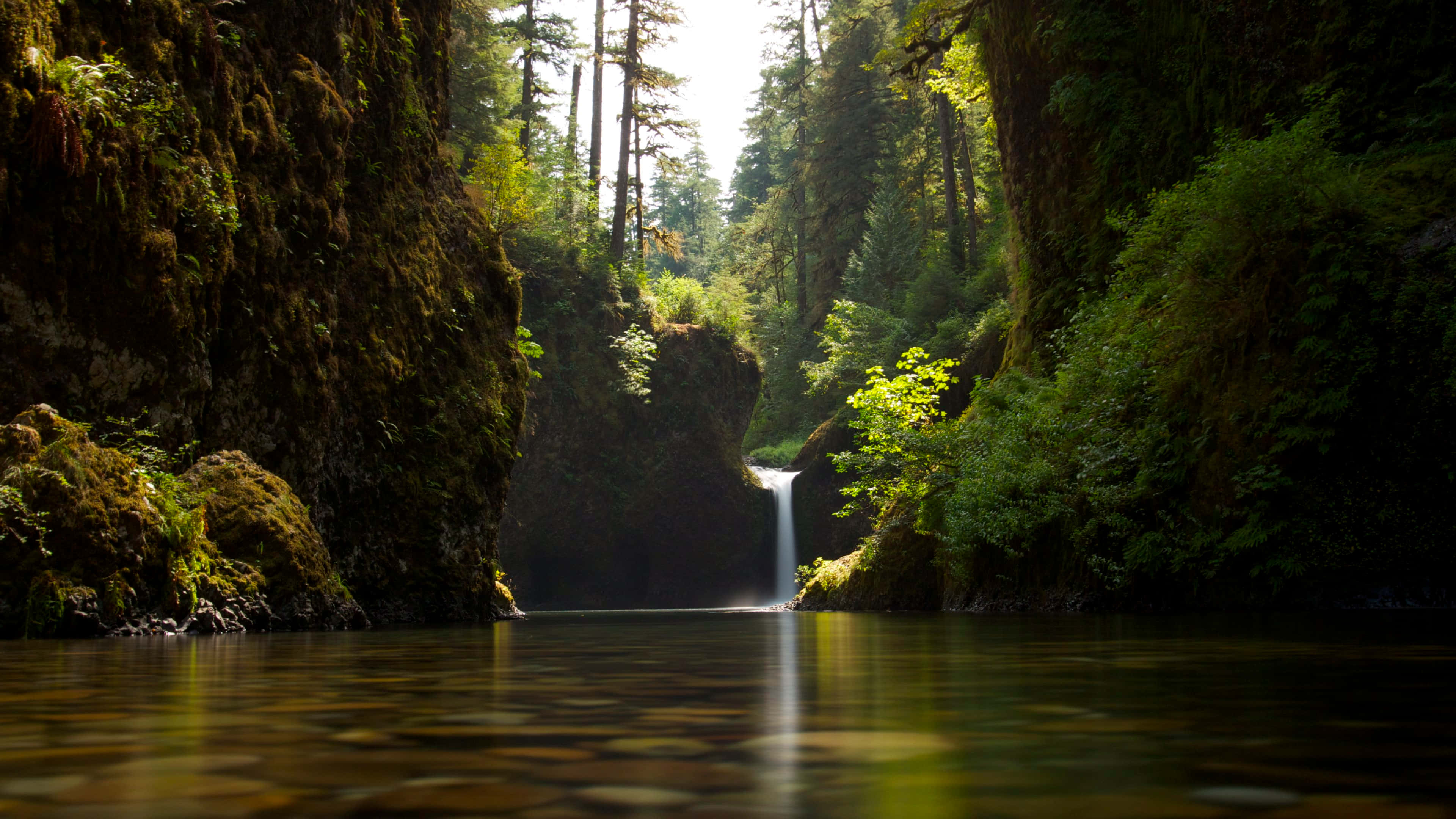 4K Ultra HD HDR, waterfall, mossy forest canyon, 4K Desktop Wallpaper