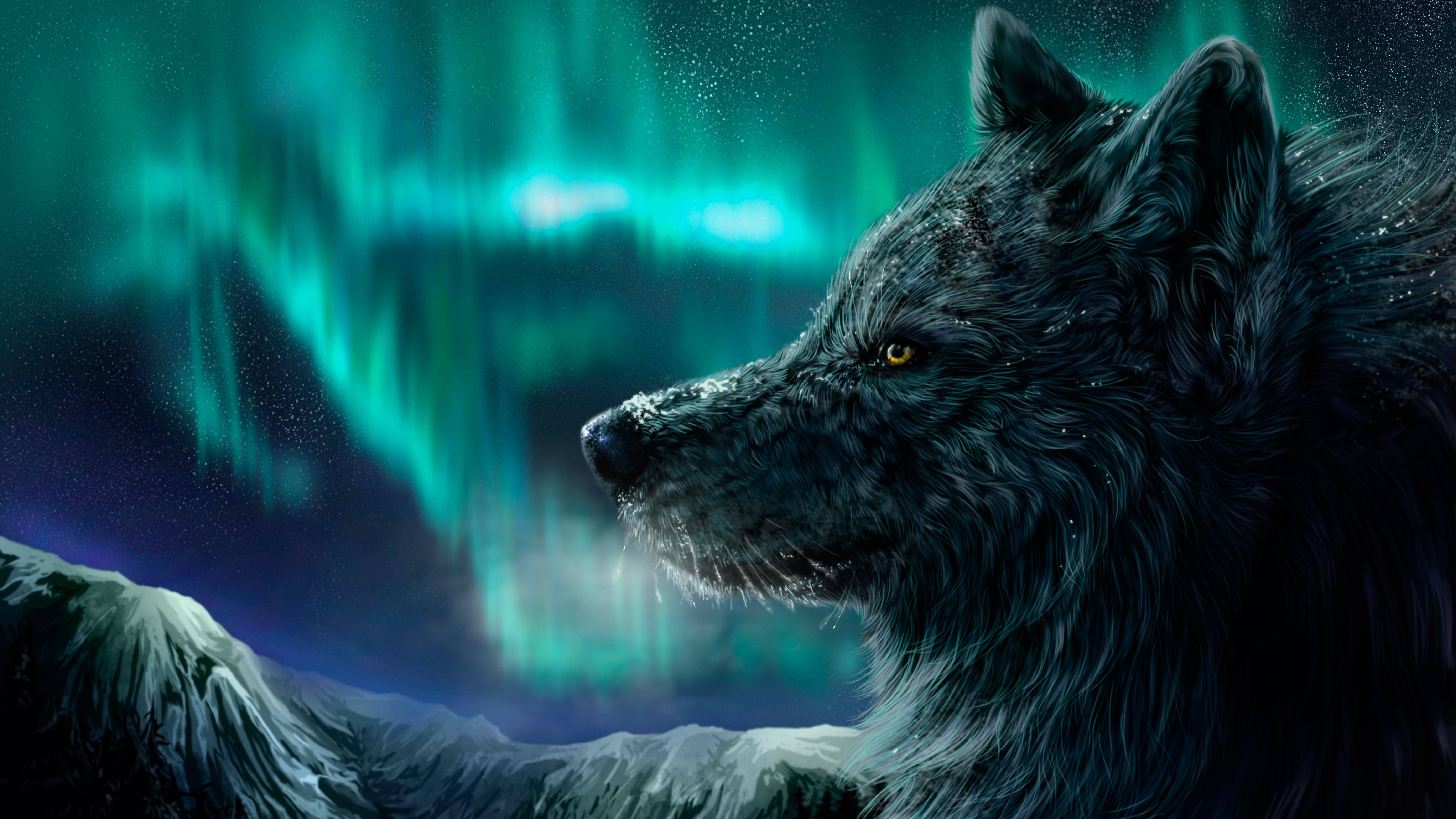 4K Ultra HD Wolf, aurora borealis, black wolf, 5K Desktop Wallpaper