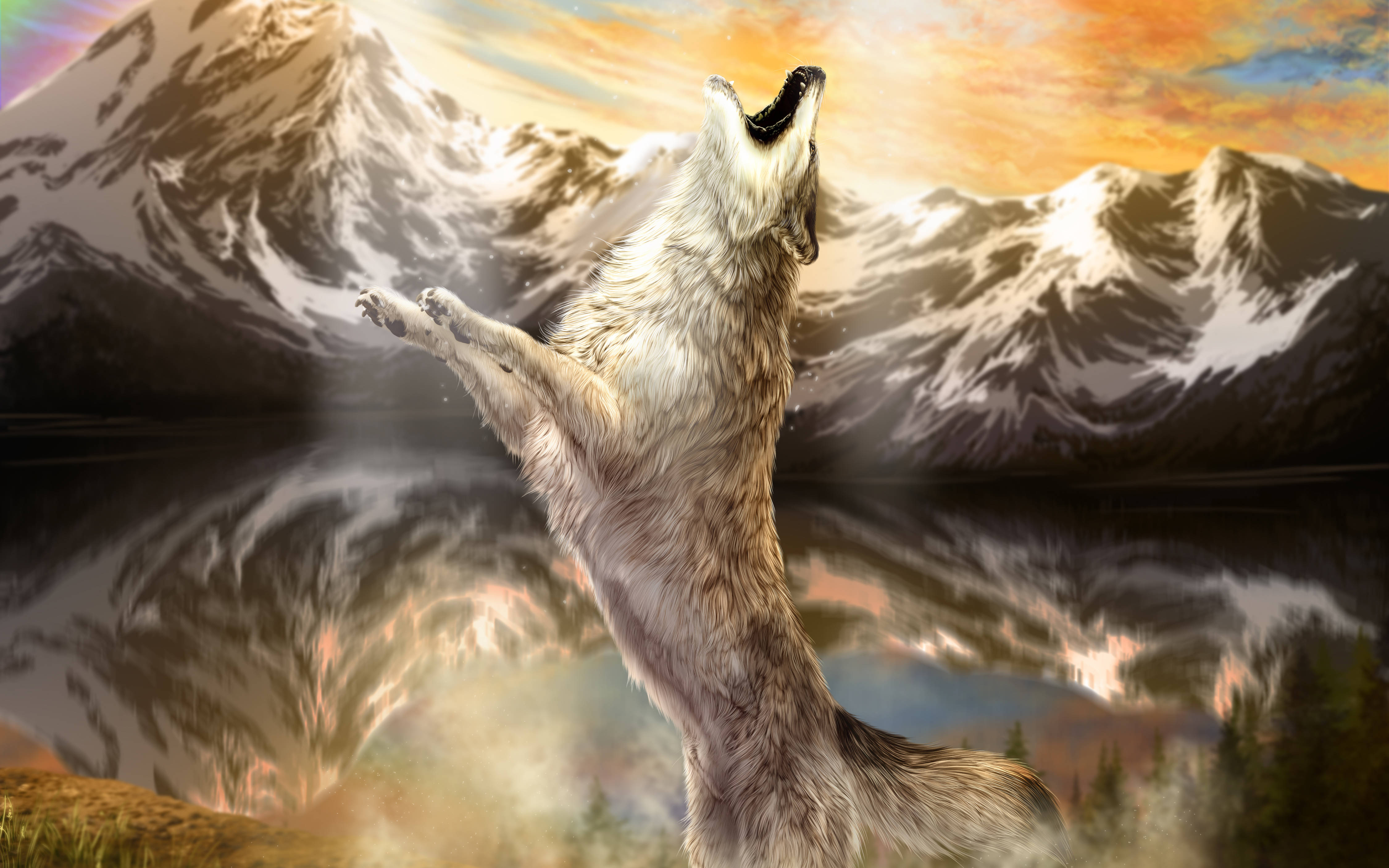 4K Ultra HD Wolf, howling, fiery sunset, 4K Desktop Wallpaper