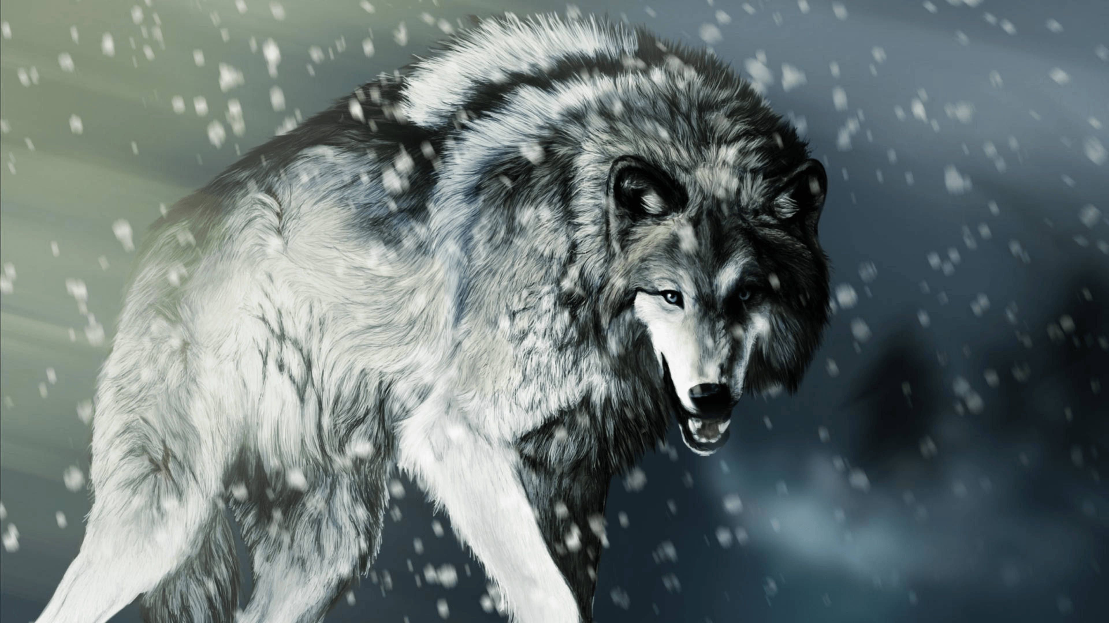 gray wolf, glowing eyes, snarling mouth, 4K Desktop Wallpaper
