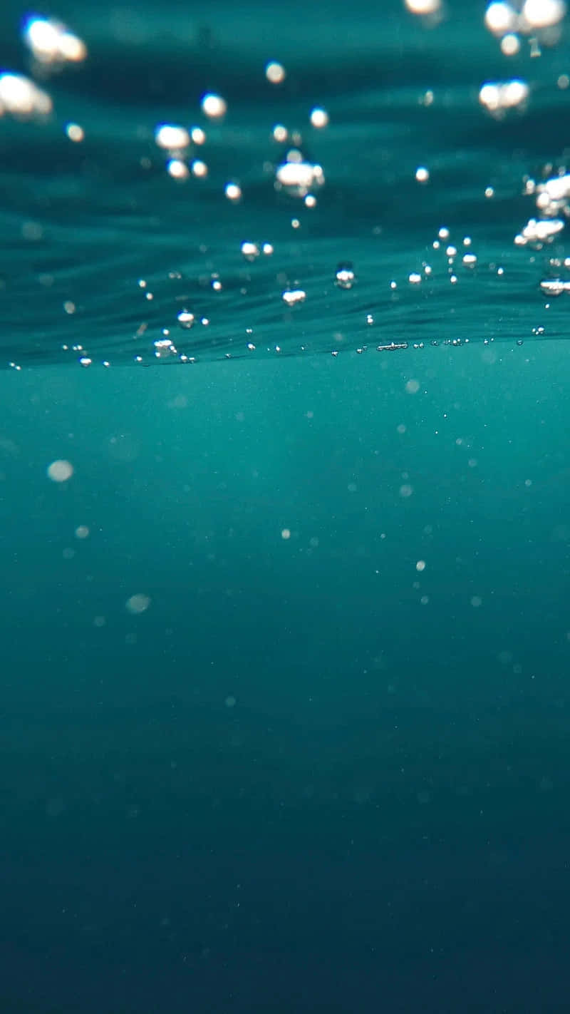 turquoise ocean surface, sunlit bubbles, particles floating in clear water, HD Phone Wallpaper
